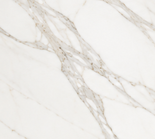 Calcatta Marble