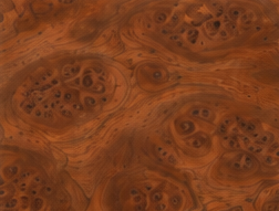 Walnut Burl