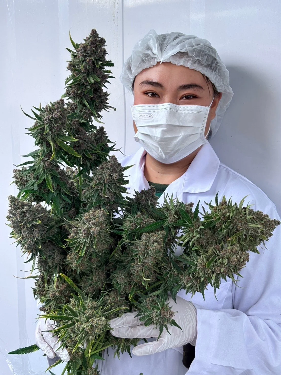 Cultivation