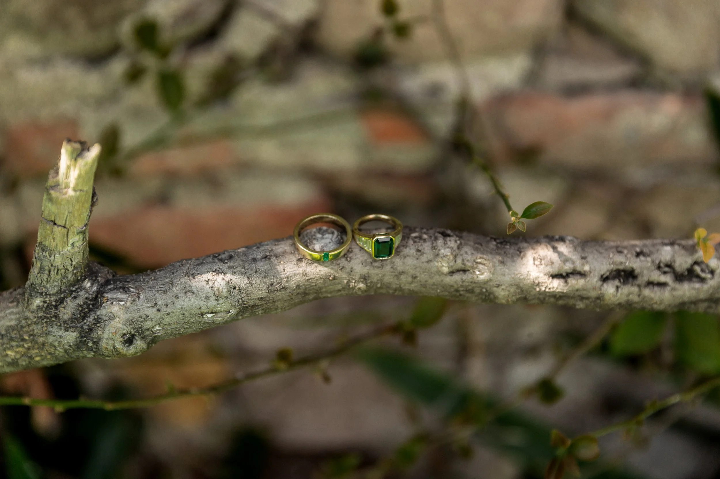 907A0320.jpg
