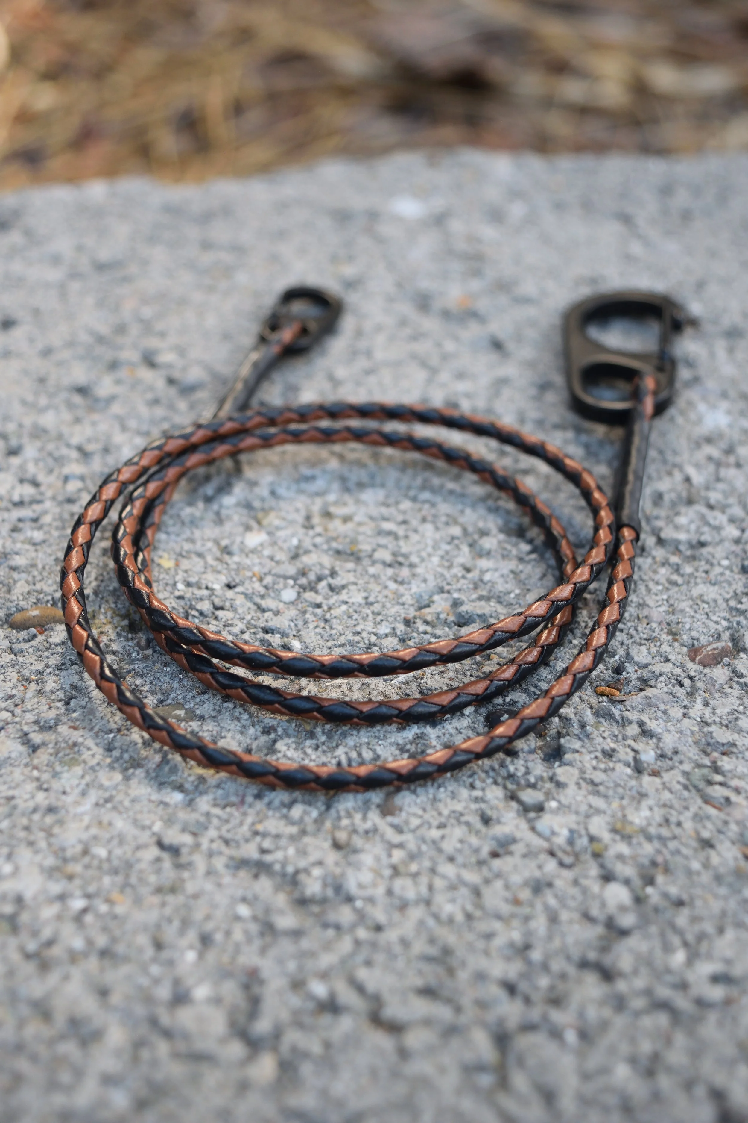 Rattlesnake