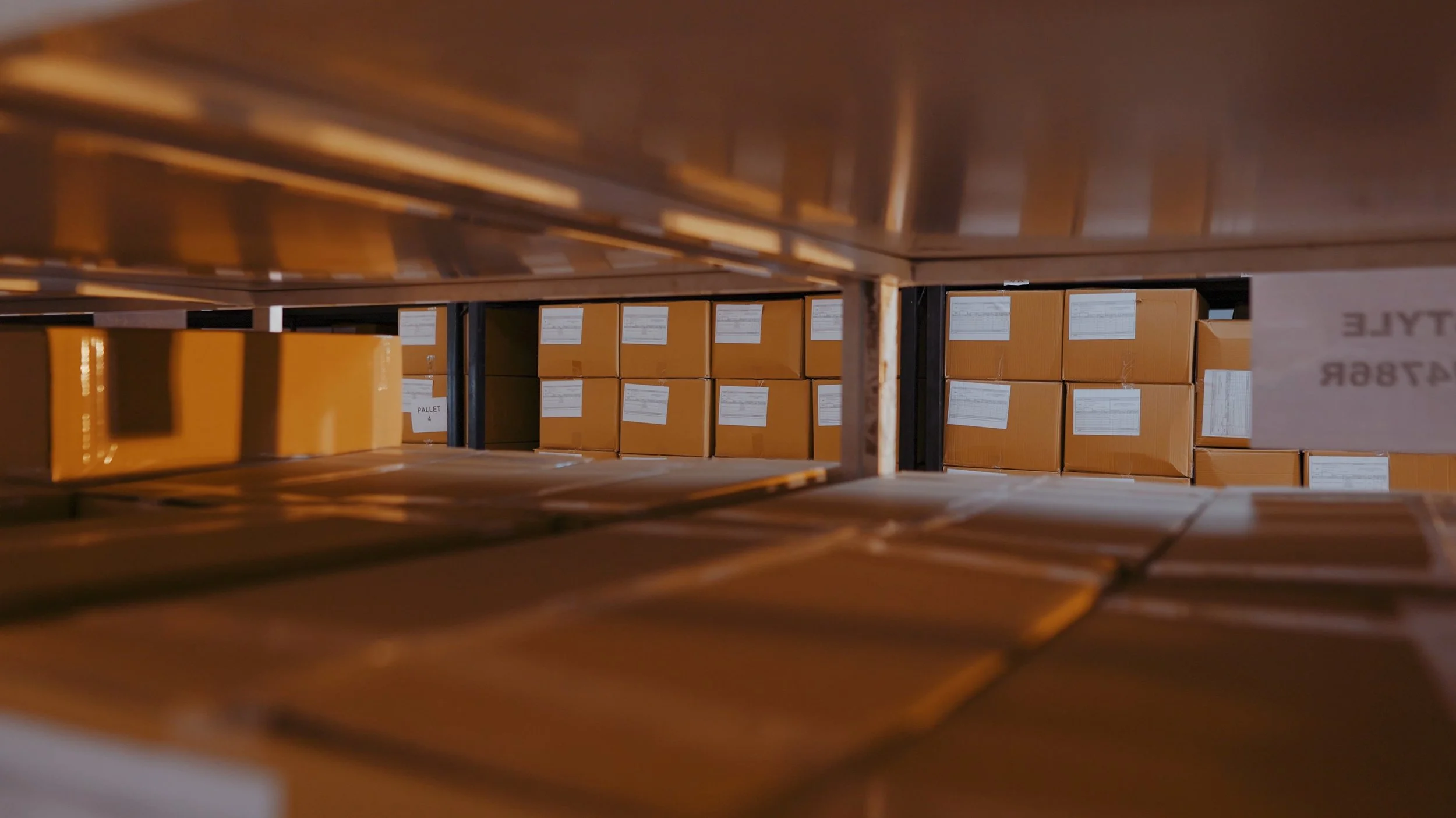 CF_8409.jpg