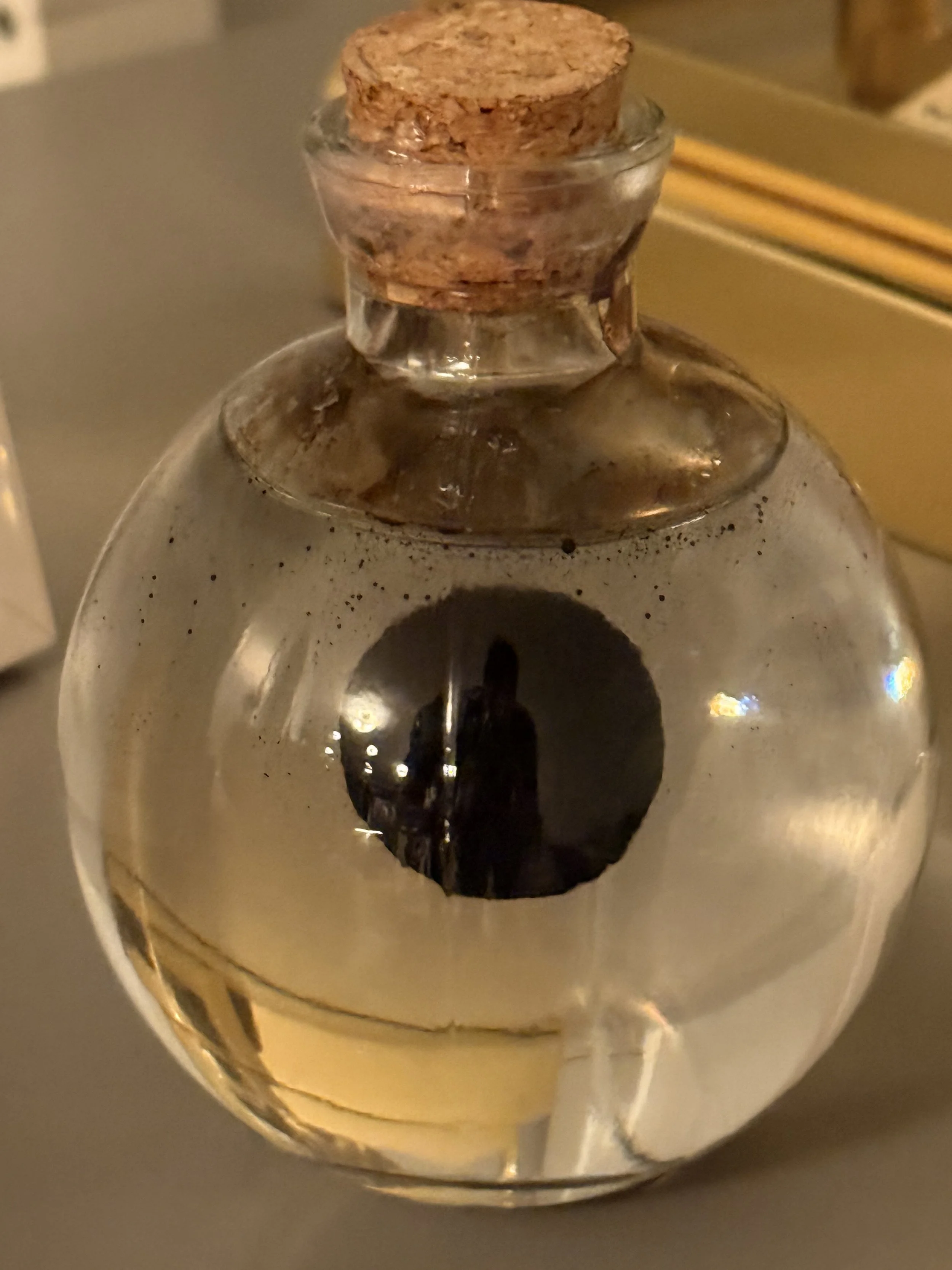 Black Hole in a Bottle