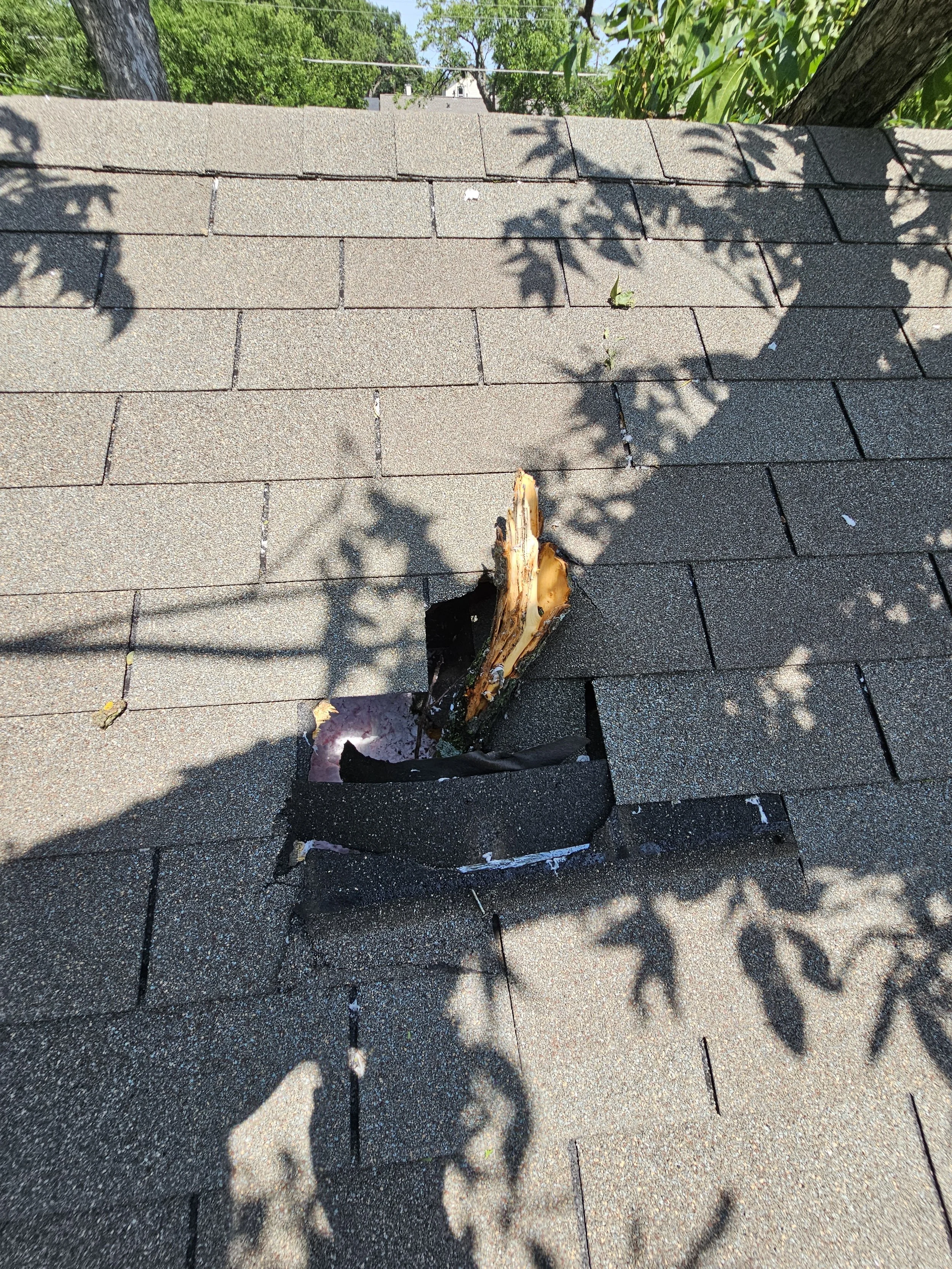 A damaged gray shingle roof with a large hole exposing the wood underneath, surrounded by shadows of tree branches and leaves.