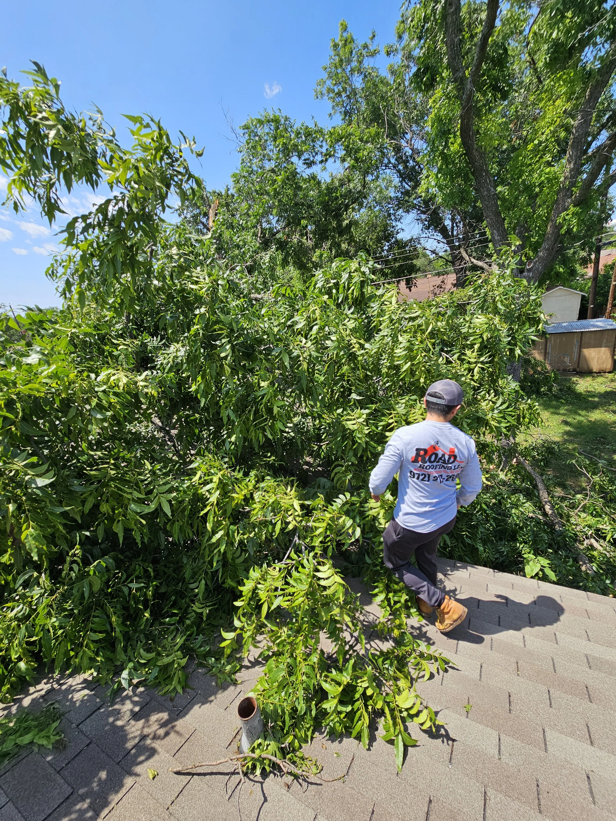 Man in a gray sweatshirt and black pants walking down stairs near fallen tree branches and leaves in a residential neighborhood on a sunny day.