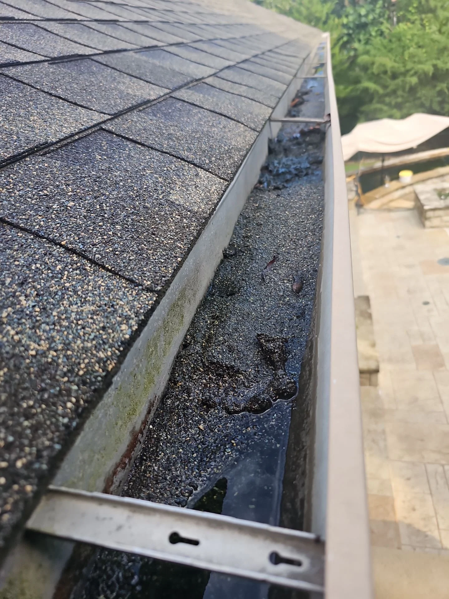 Close-up of a rooftop gutter with debris, dirt, and water, showing asphalt shingles and a house roof in the background.