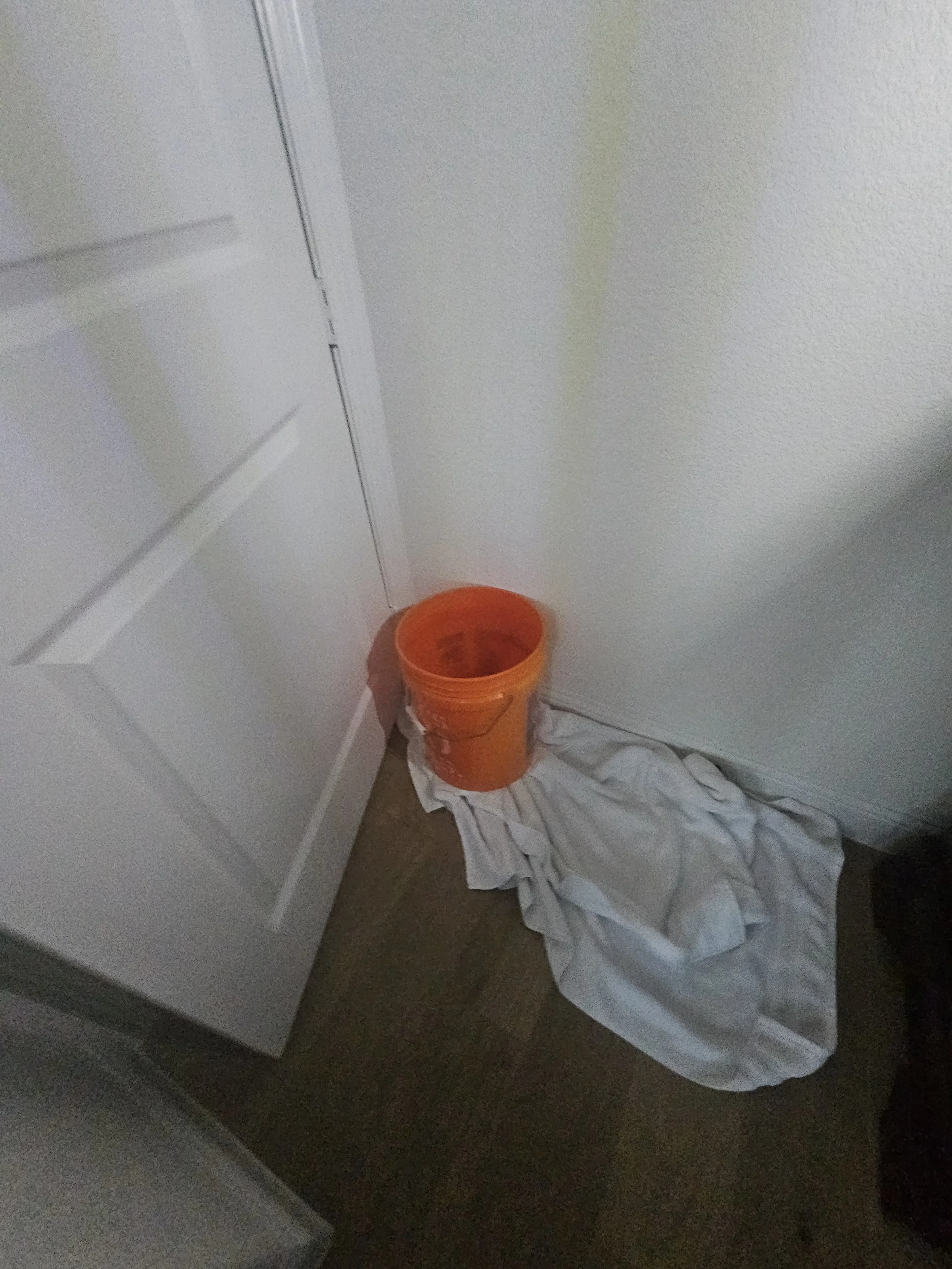 20240530_115405.jpg