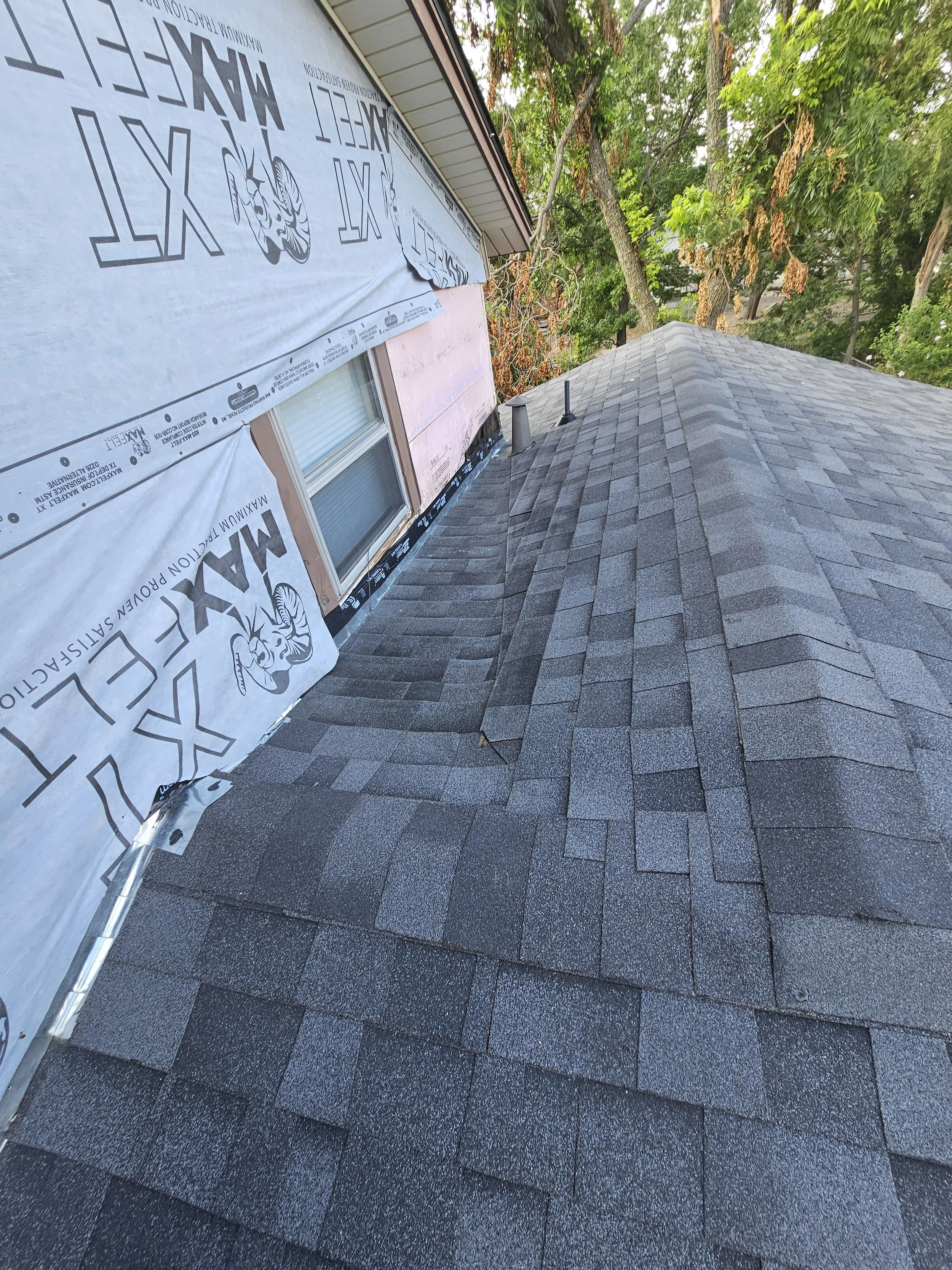 View of a house roof with new asphalt shingles, partially covered house exterior wrapped in building paper, and a surrounding green tree with some brown leaves.