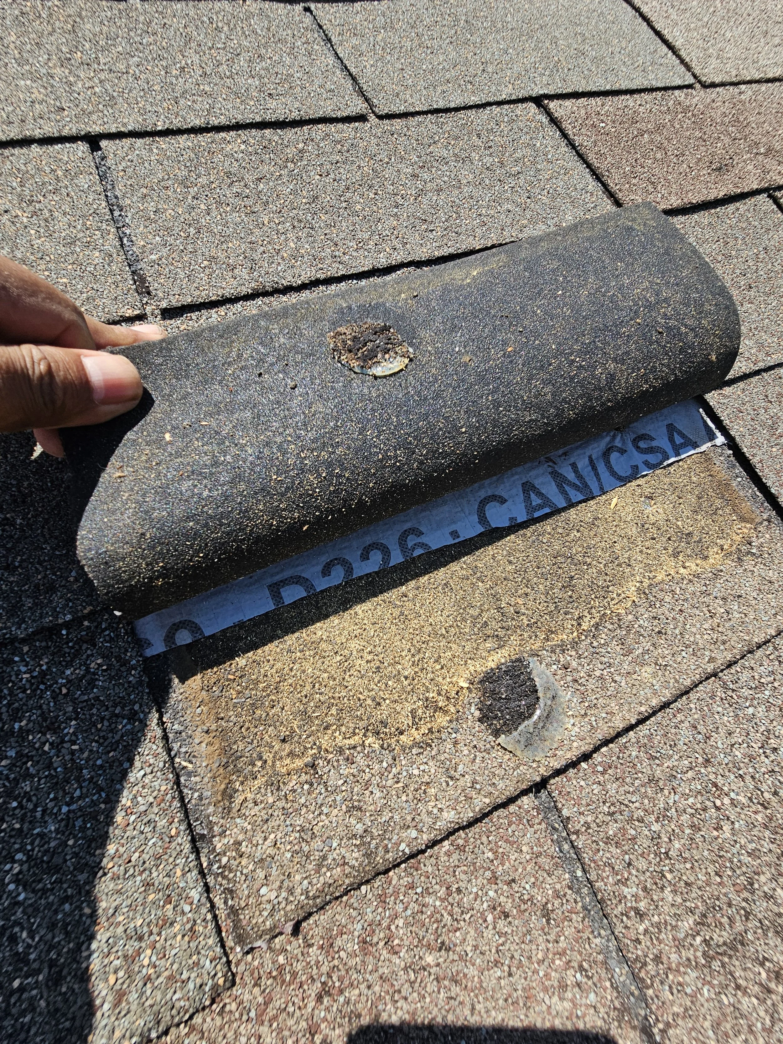Person holding a roll of roof shingles with a visible nail and asphalt tab.
