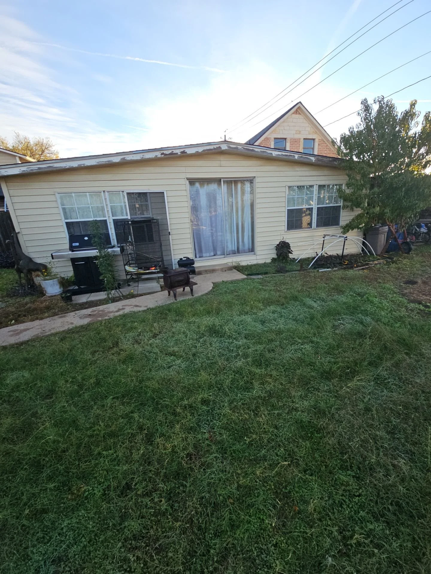 Backyard with green grass, a small patio, outdoor grill, dog statue, tree, weeds, and a two-story house in the background.