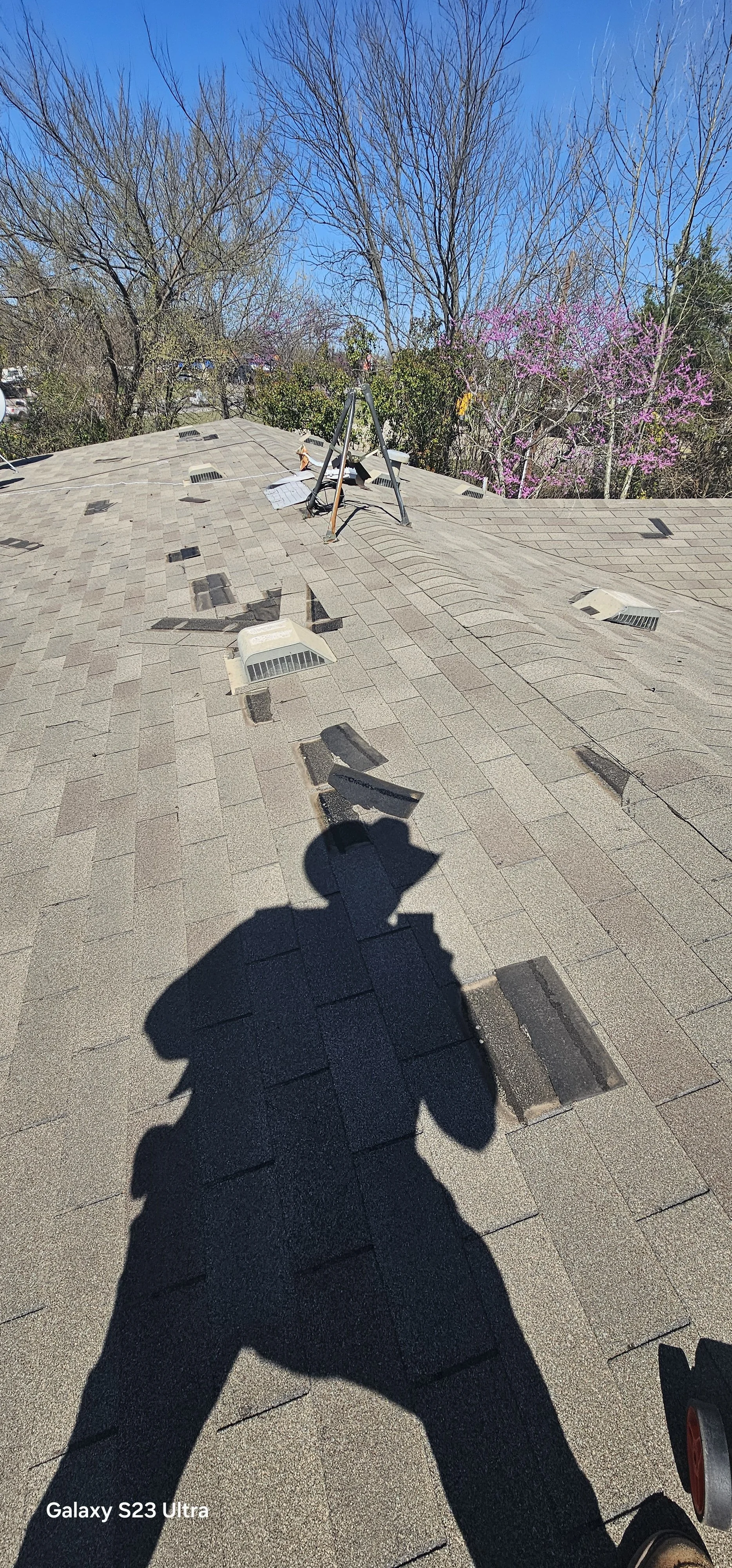 The image shows a rooftop with asphalt shingles, some vents, and flashing. In the background, there are trees with some pink blossoms and a clear blue sky.