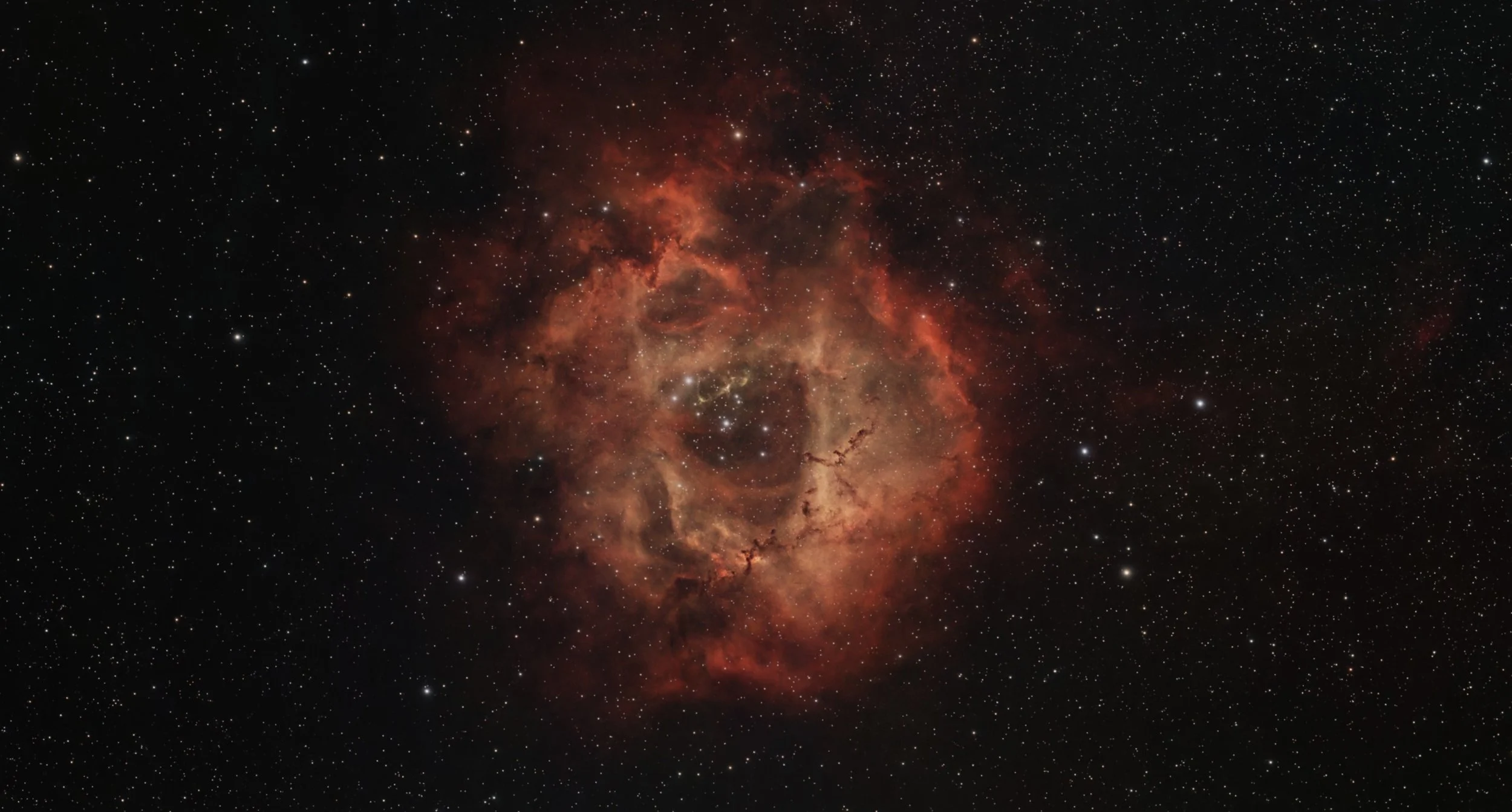 The Rosette Nebula