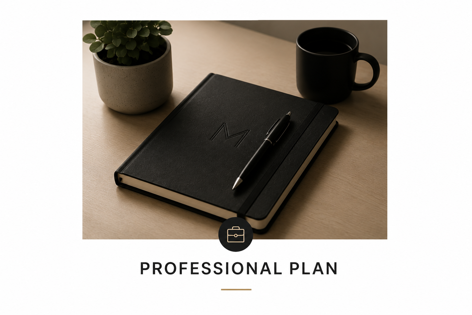 A workspace with a black notebook with an embossed letter 'M', a black pen on top, a potted plant, and a black coffee mug on a light wooden surface, labeled 'Professional Plan'.