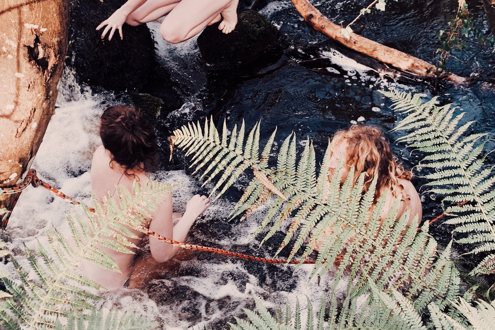 Two women are sitting in a natural outdoor setting near water, with large green fern leaves partially covering them. One woman has curly red hair, and the other has dark hair tied back. They are surrounded by rocks, trees, and flowing water.