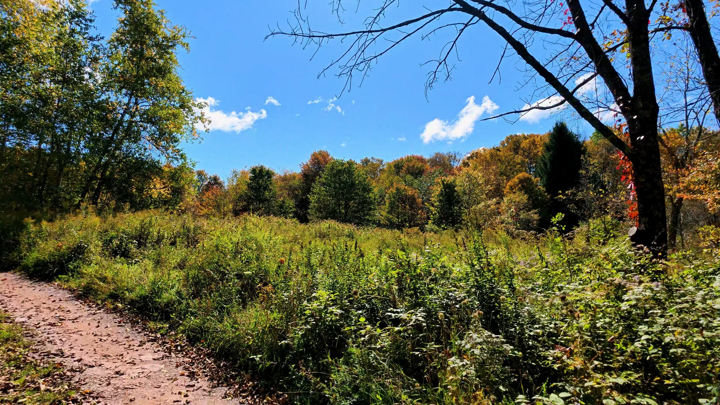 Driveway_05.jpg