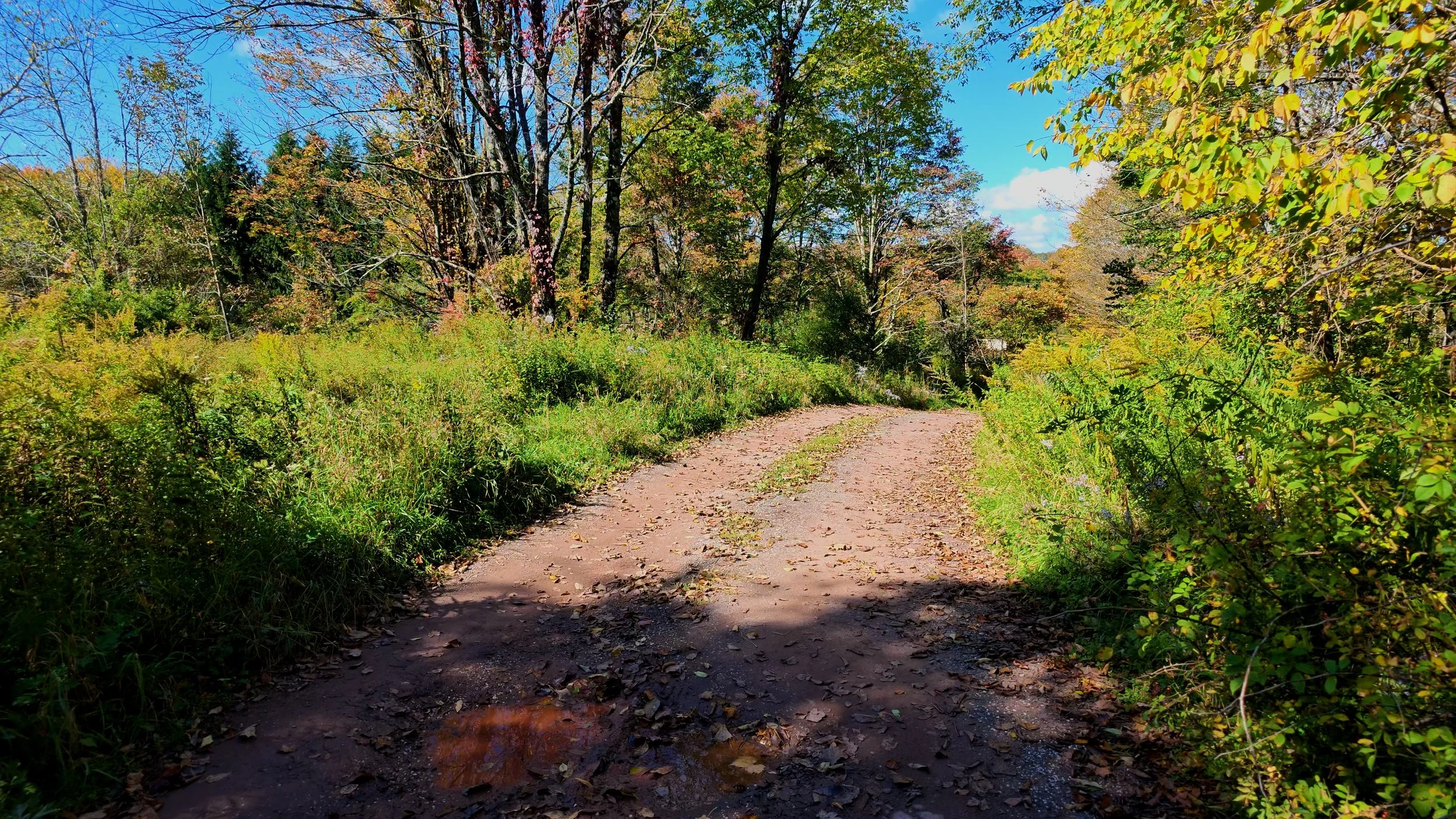 Driveway_04.jpg