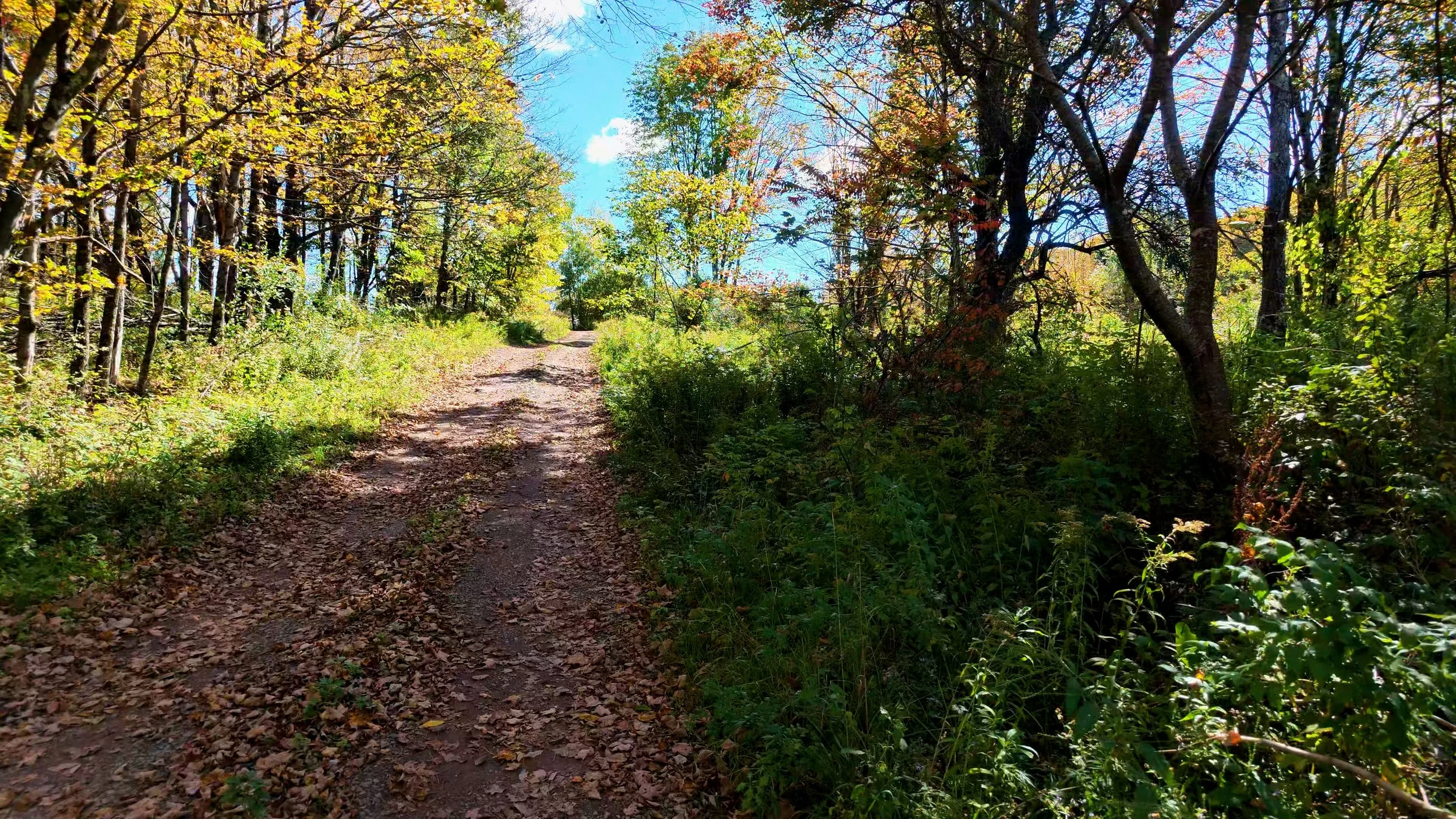 Driveway_03.jpg
