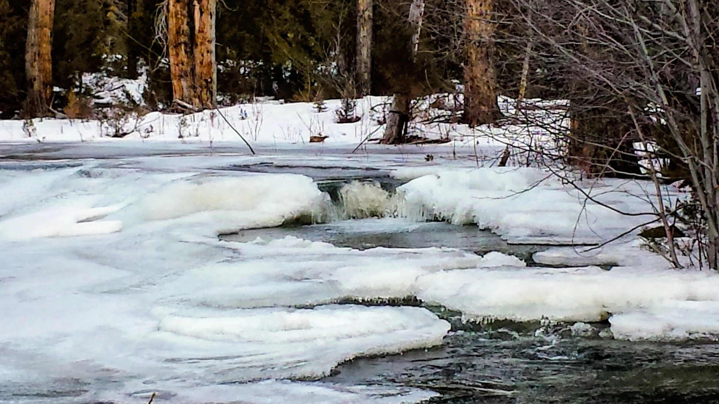 Paradise-Valley-Montana-Parish-Life-01.jpeg