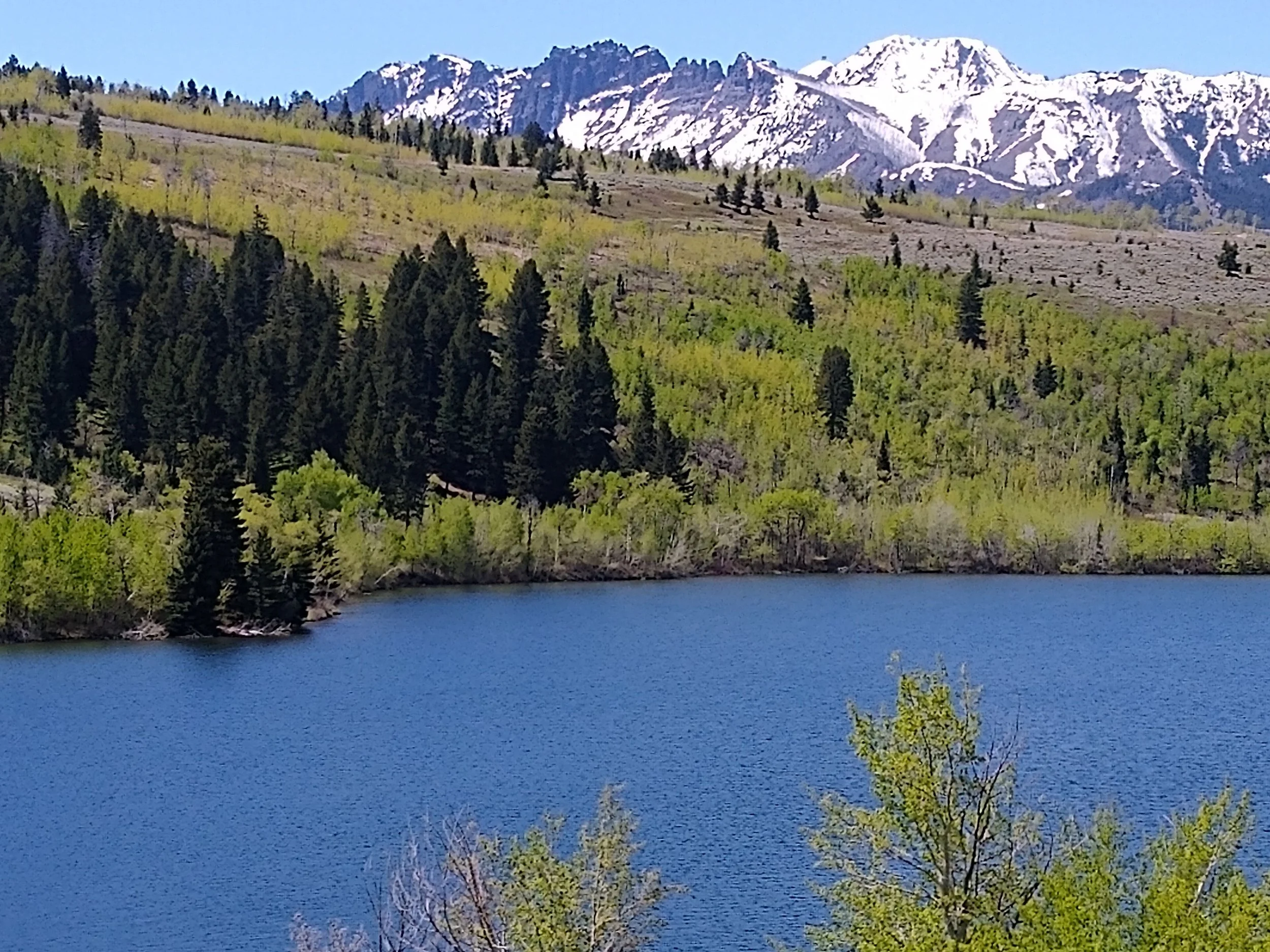 Paradise-Valley-Montana-Parish-Life-14.jpeg