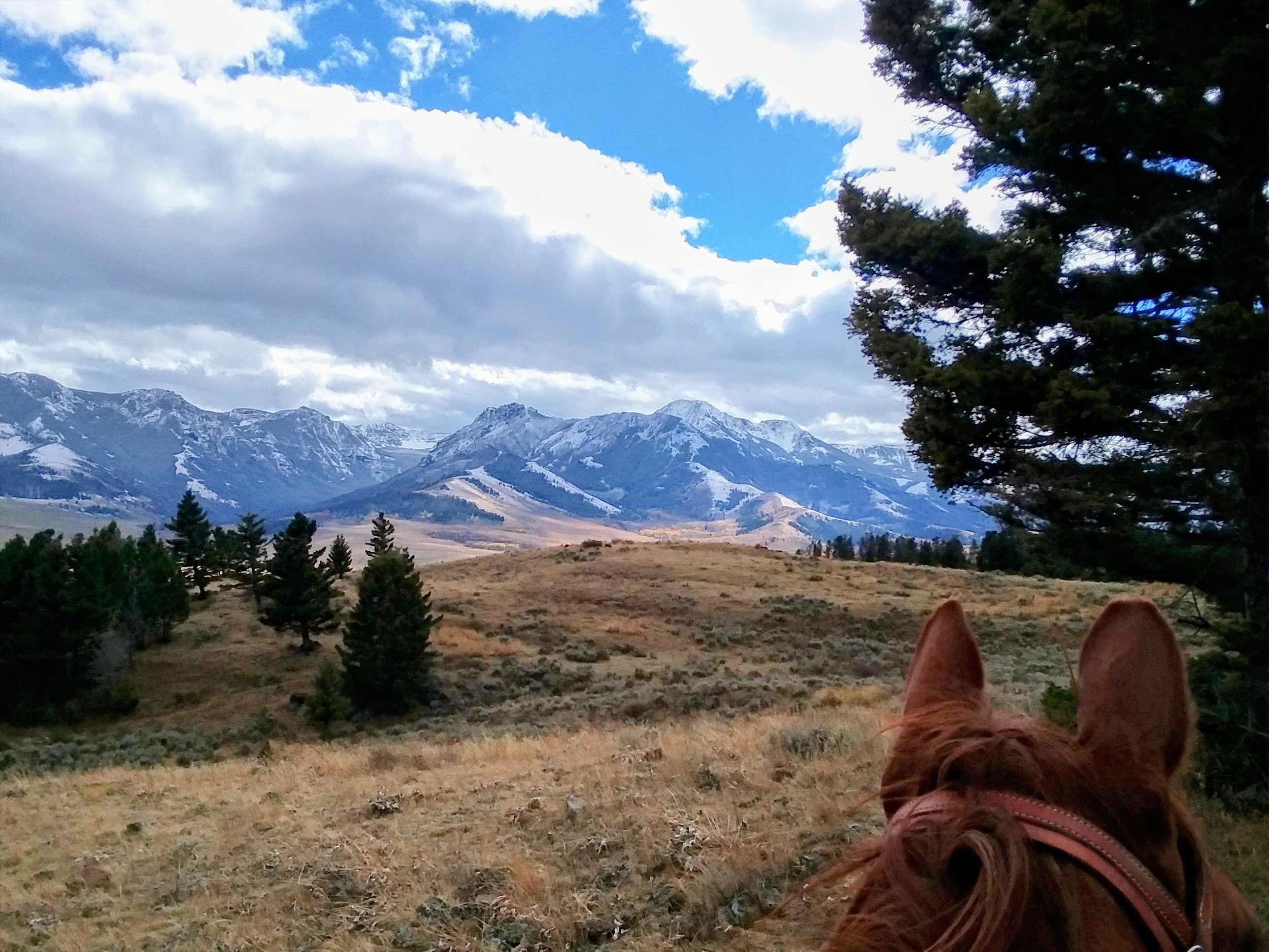 Paradise-Valley-Montana-Parish-Life-07.jpeg