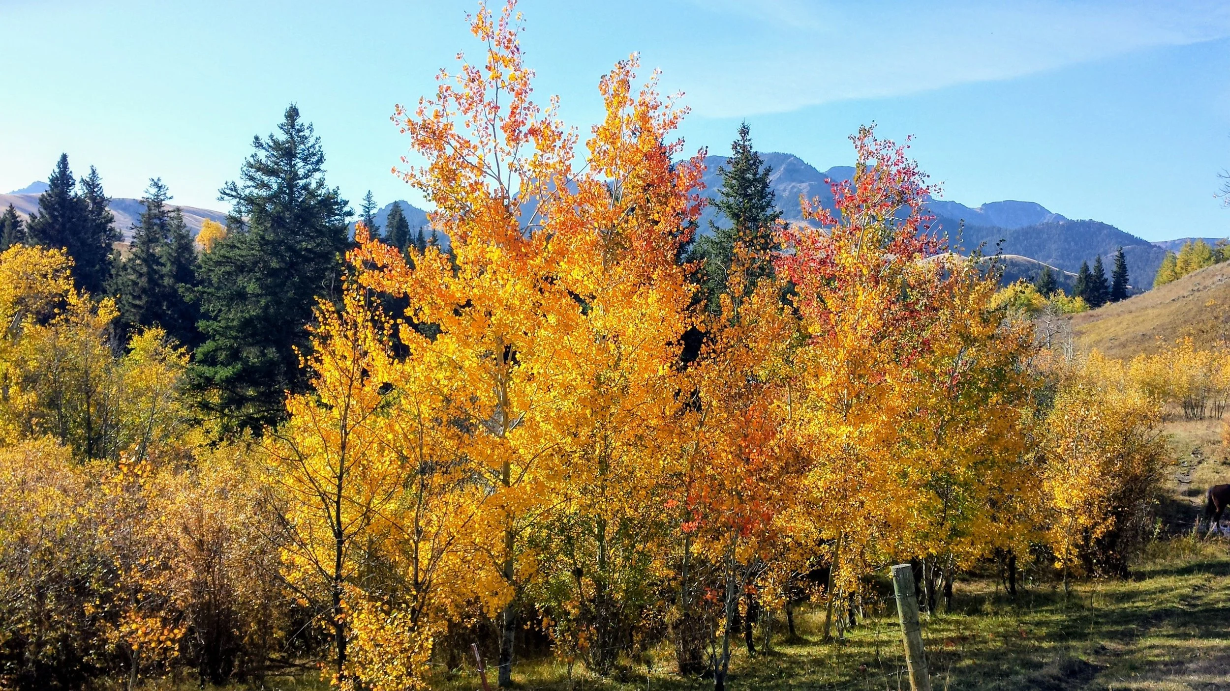 Paradise-Valley-Montana-Parish-Life-08.jpeg