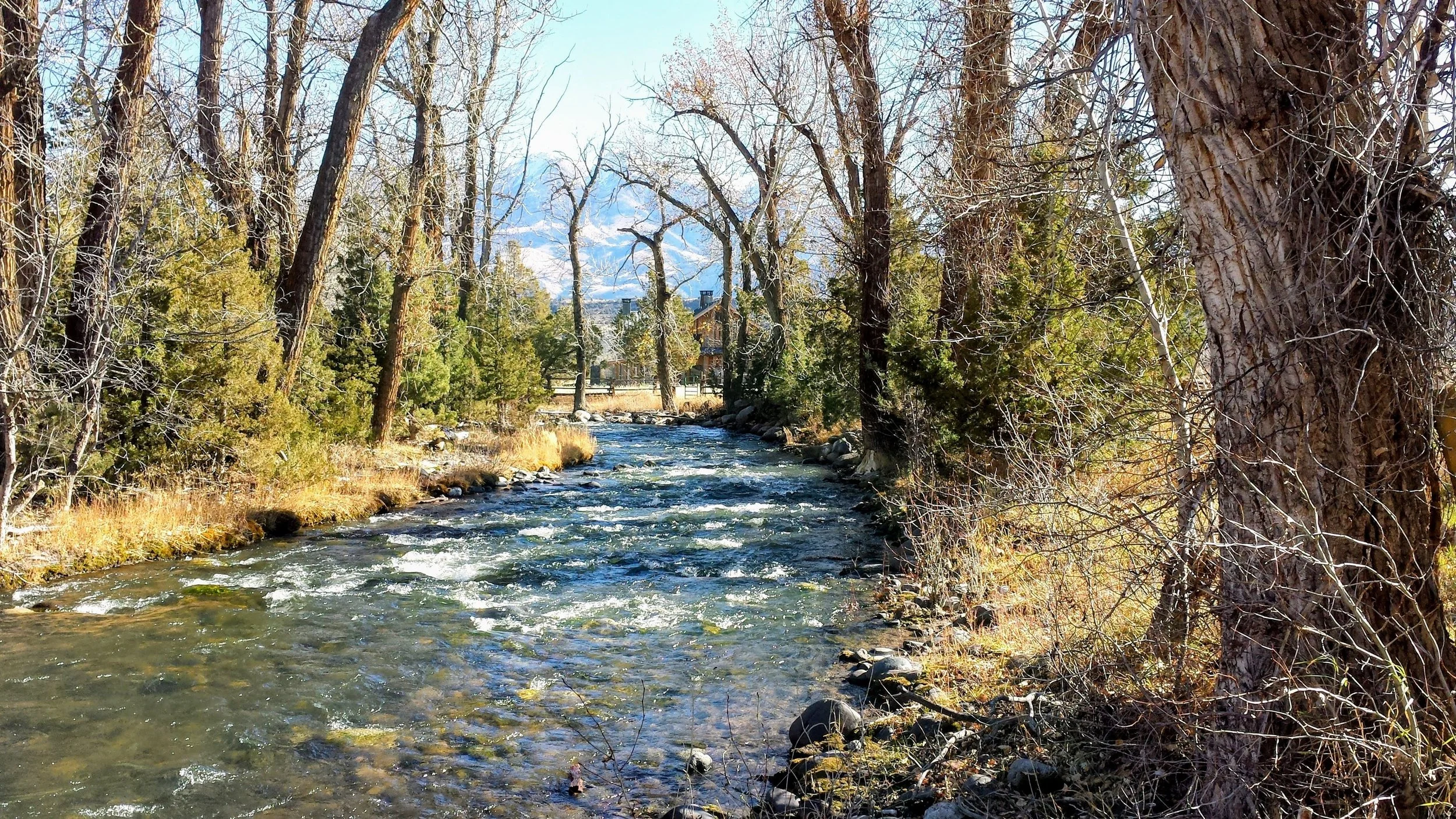 Paradise-Valley-Montana-Parish-Life-12.jpeg