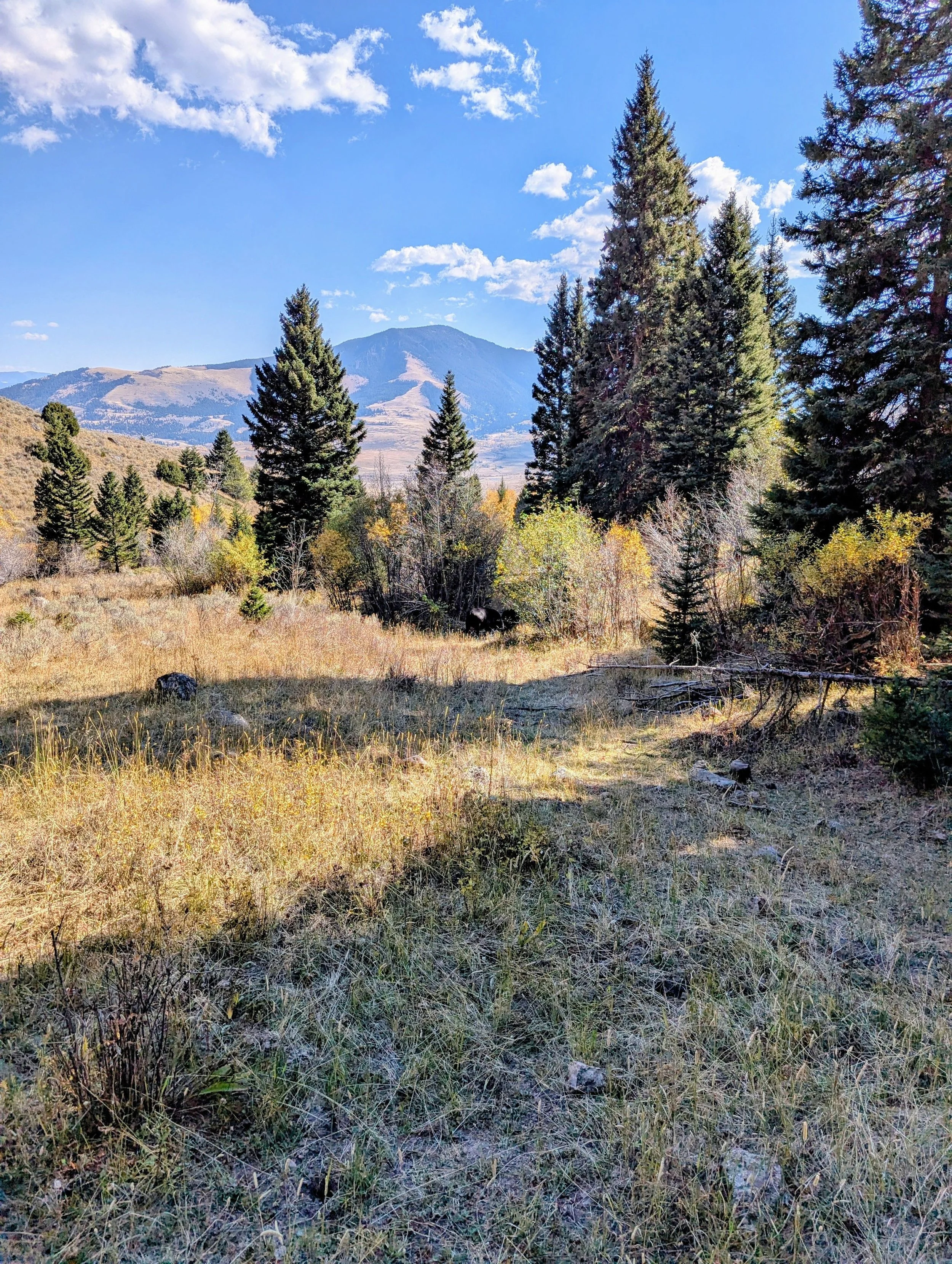 Paradise-Valley-Montana-Parish-Life-09.jpeg