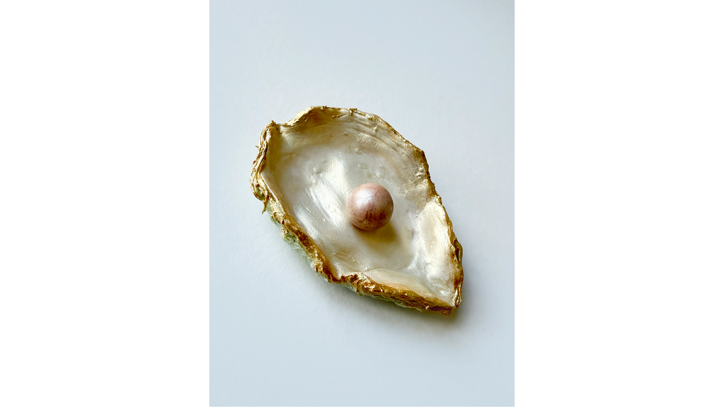 A close-up of a single oyster shell with a pearl inside on a plain white background.