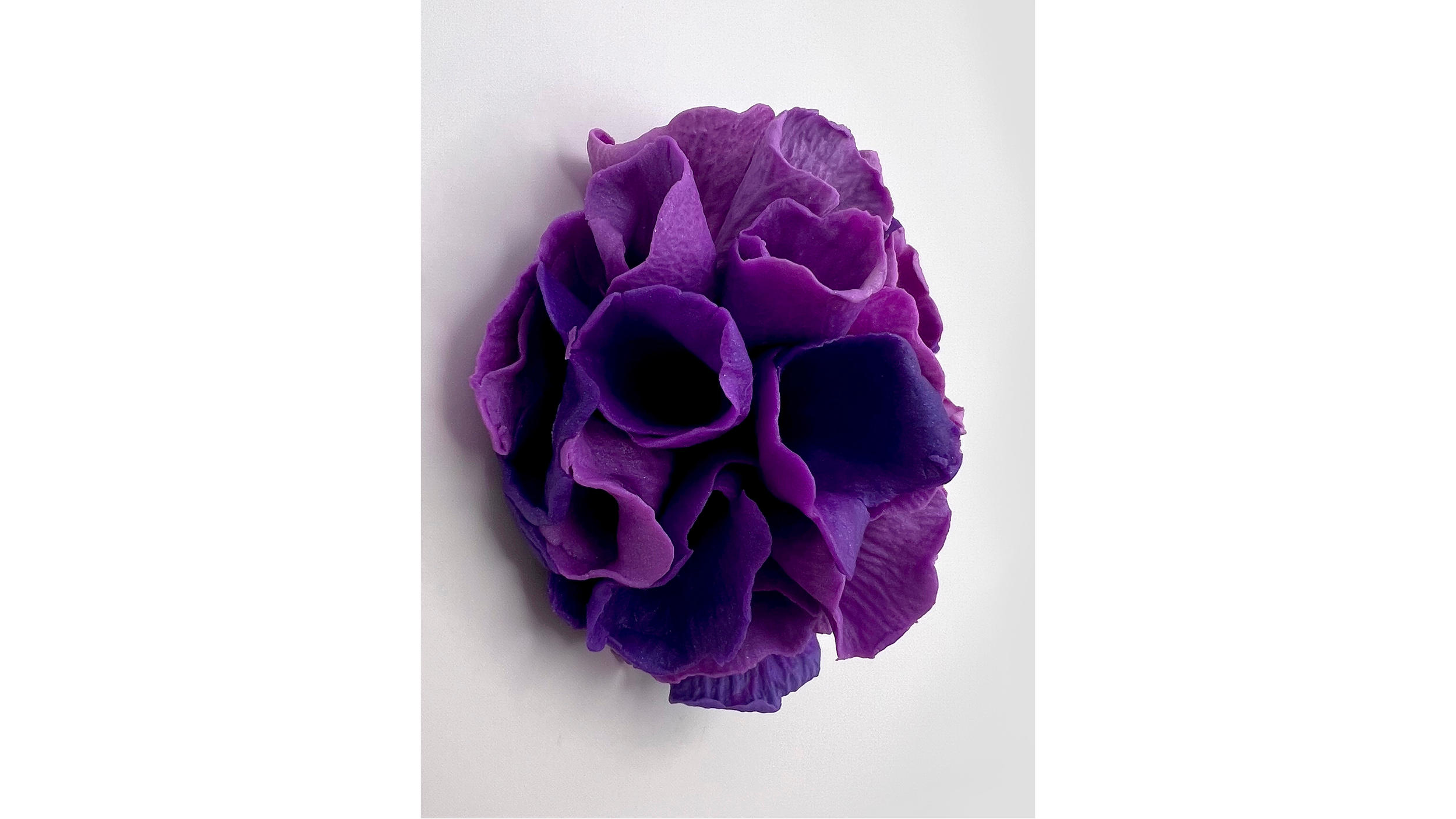 A purple, crumpled flower with ruffled petals against a plain white background.