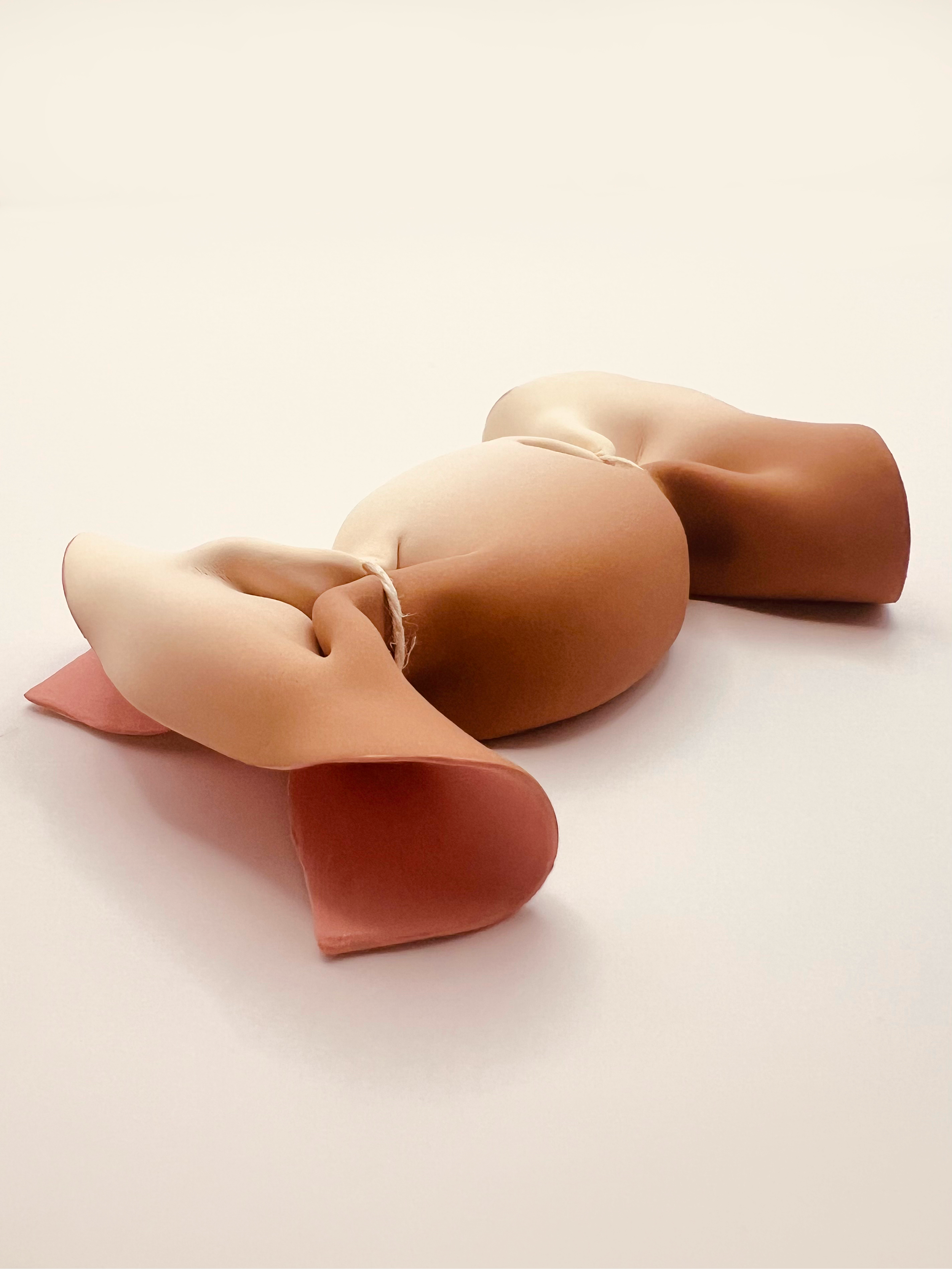 Four abstract, smooth, curved sculptures resembling animal forms in shades of beige, pink, and brown, arranged on a plain white surface.