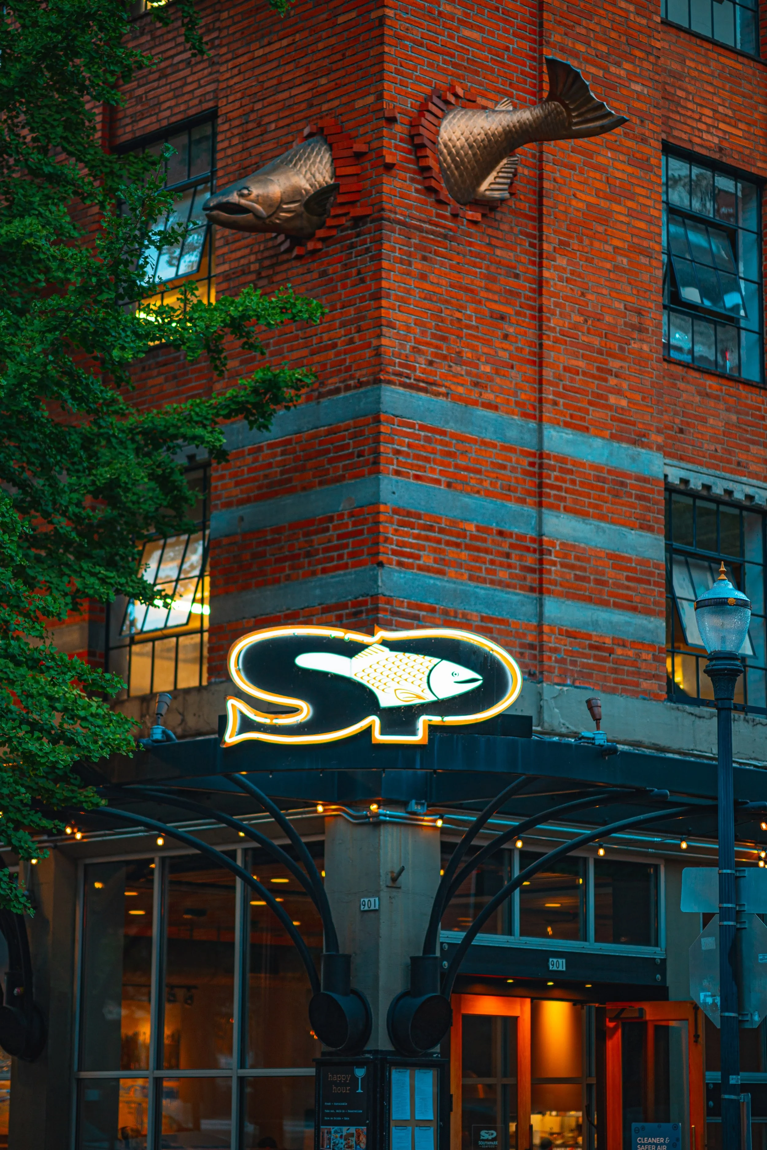 Nighttime scene of a brick building with a neon sign of a fish inside a speech bubble, trees in front, and a lit window.