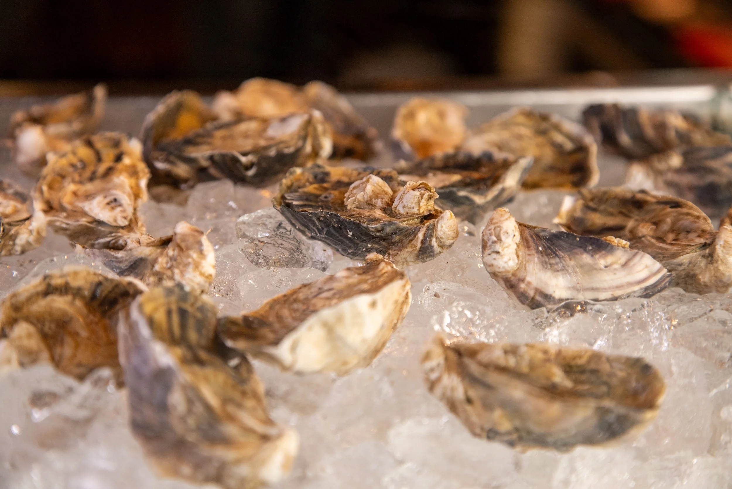 Close-up of oysters on ice, likely at a seafood market or restaurant display.