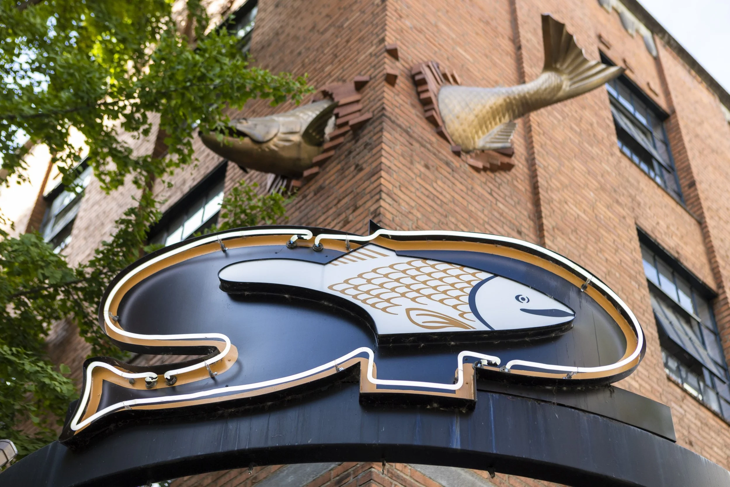 Close-up of a neon sign shaped like a fish attached to the brick exterior of a building, with green tree leaves in the foreground.