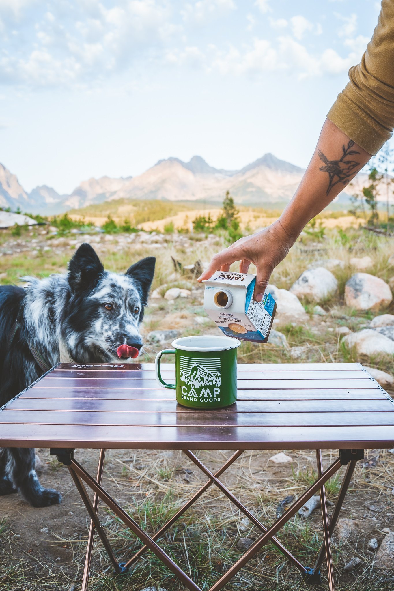 A person with a tattoo on their arm is pouring milk from a carton into a cup on a camping table. A dog with a black and white coat and a red tongue is looking at the table. The background features mountains, trees, and a partly cloudy sky.