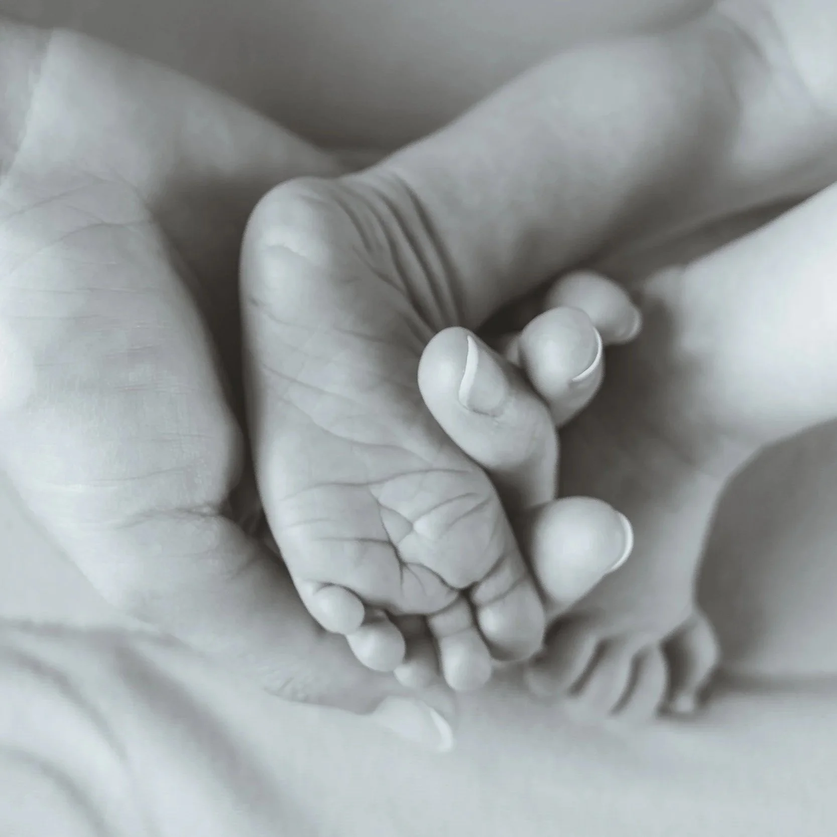 Close-up of a small hand gripping the fingers of a larger hand, both wearing gloves in black and white tone.