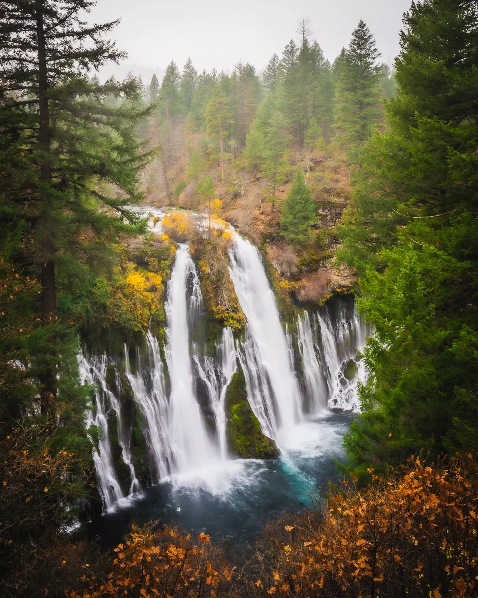 A scenic waterfall flowing through a lush green forest with conifer trees, and some autumn foliage in the foreground, creating a picturesque natural landscape.