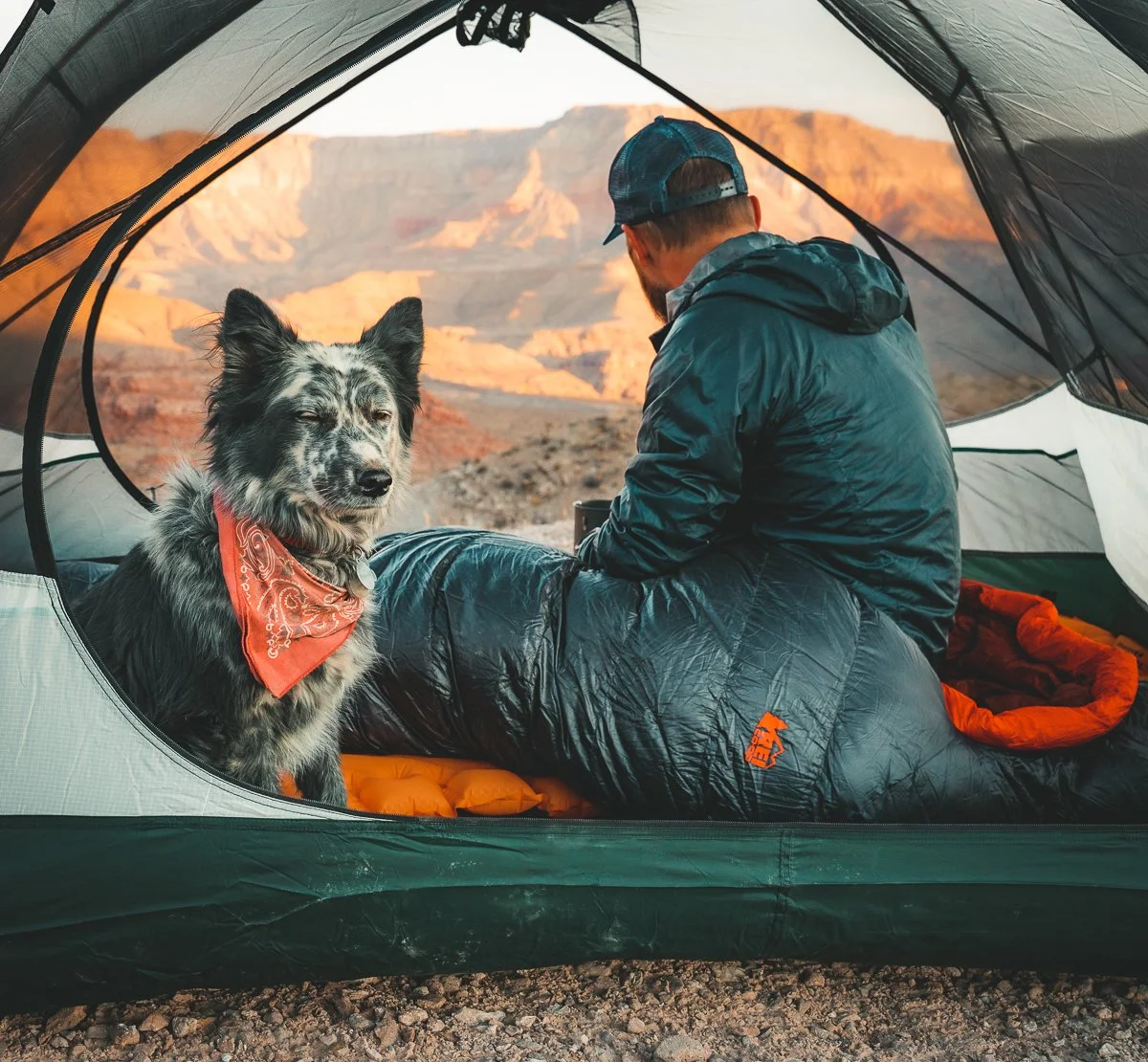 Man sitting inside a tent with a black and white dog wearing a red bandana, overlooking a canyon during sunset.