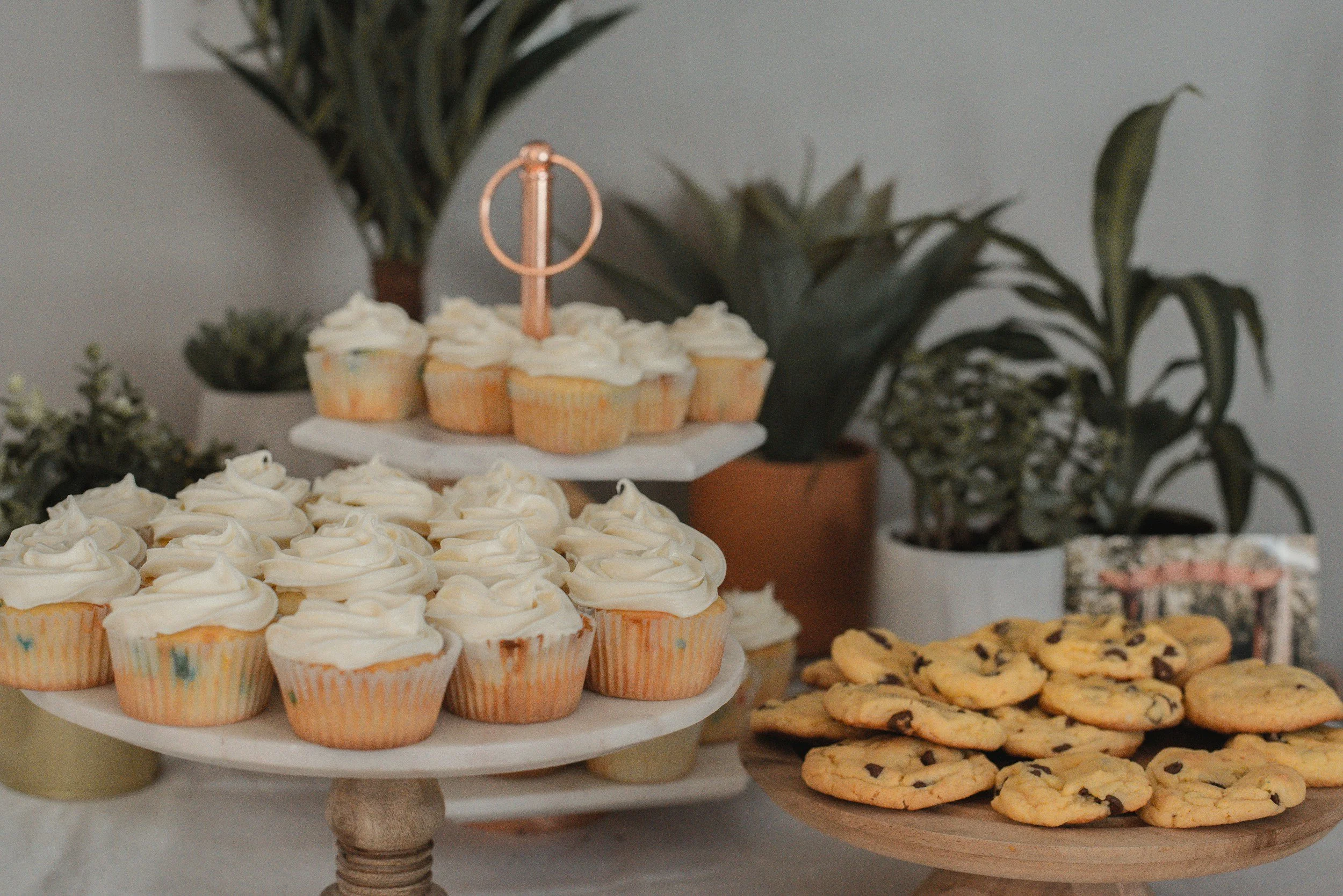 Assorted cupcakes, cookies, and a platter of sliced baked goods on a dessert table, with green potted plants in the background.
