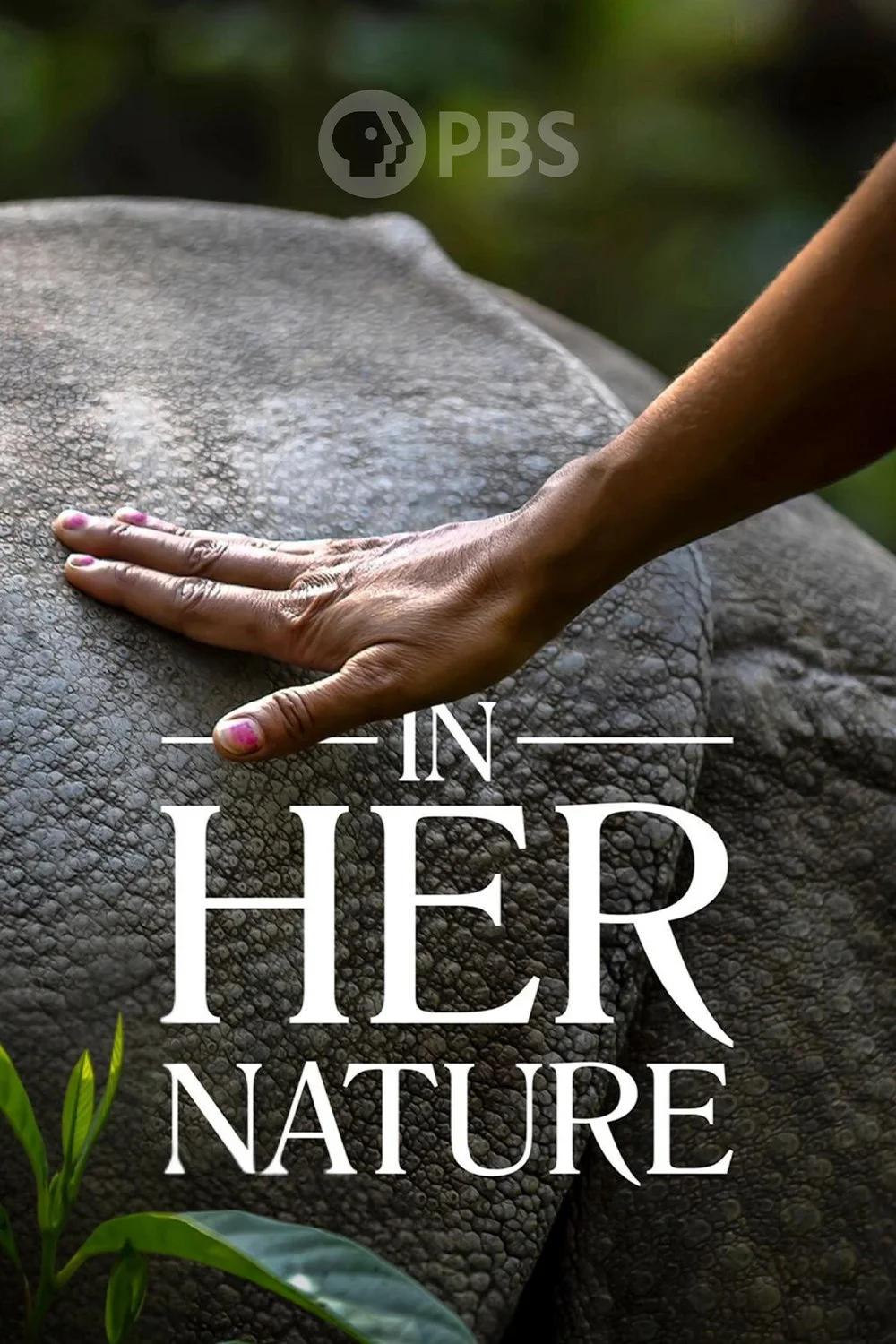 Official poster for the PBS original documentary series, "In Her Nature." A girl's hand extends to touch an elephant, surrounded by lush forest. Post producing and post production management by Travis Preston.