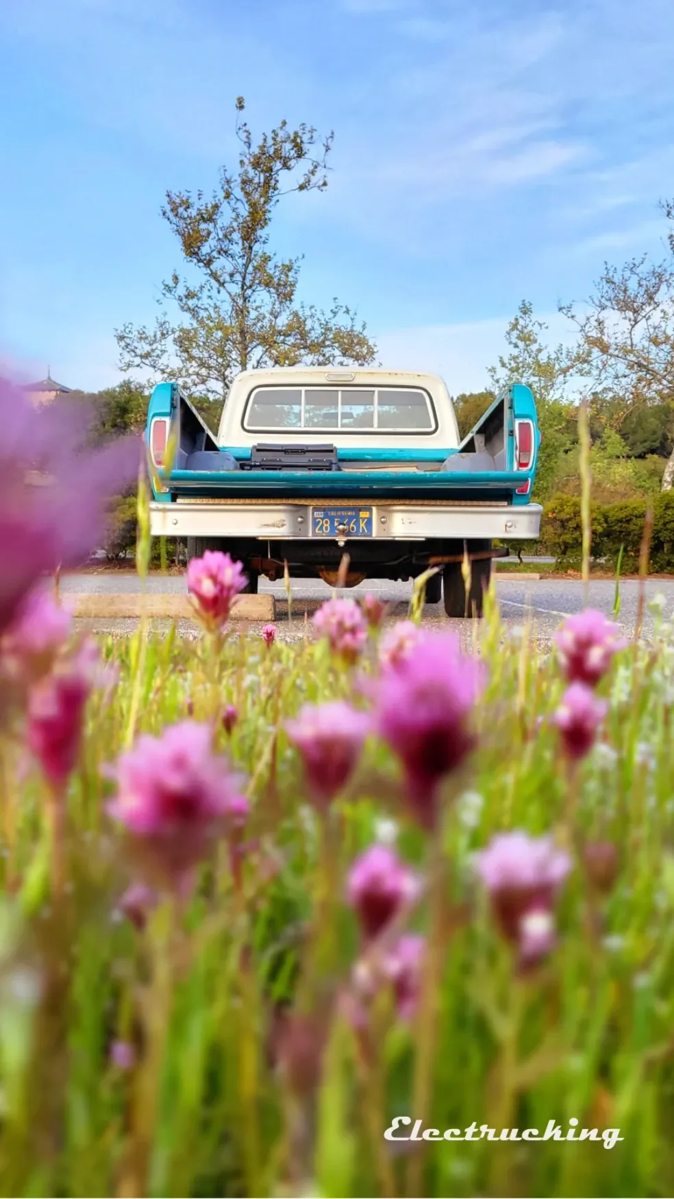 F100 Tailgate in Springtime Mobile Phone Background 