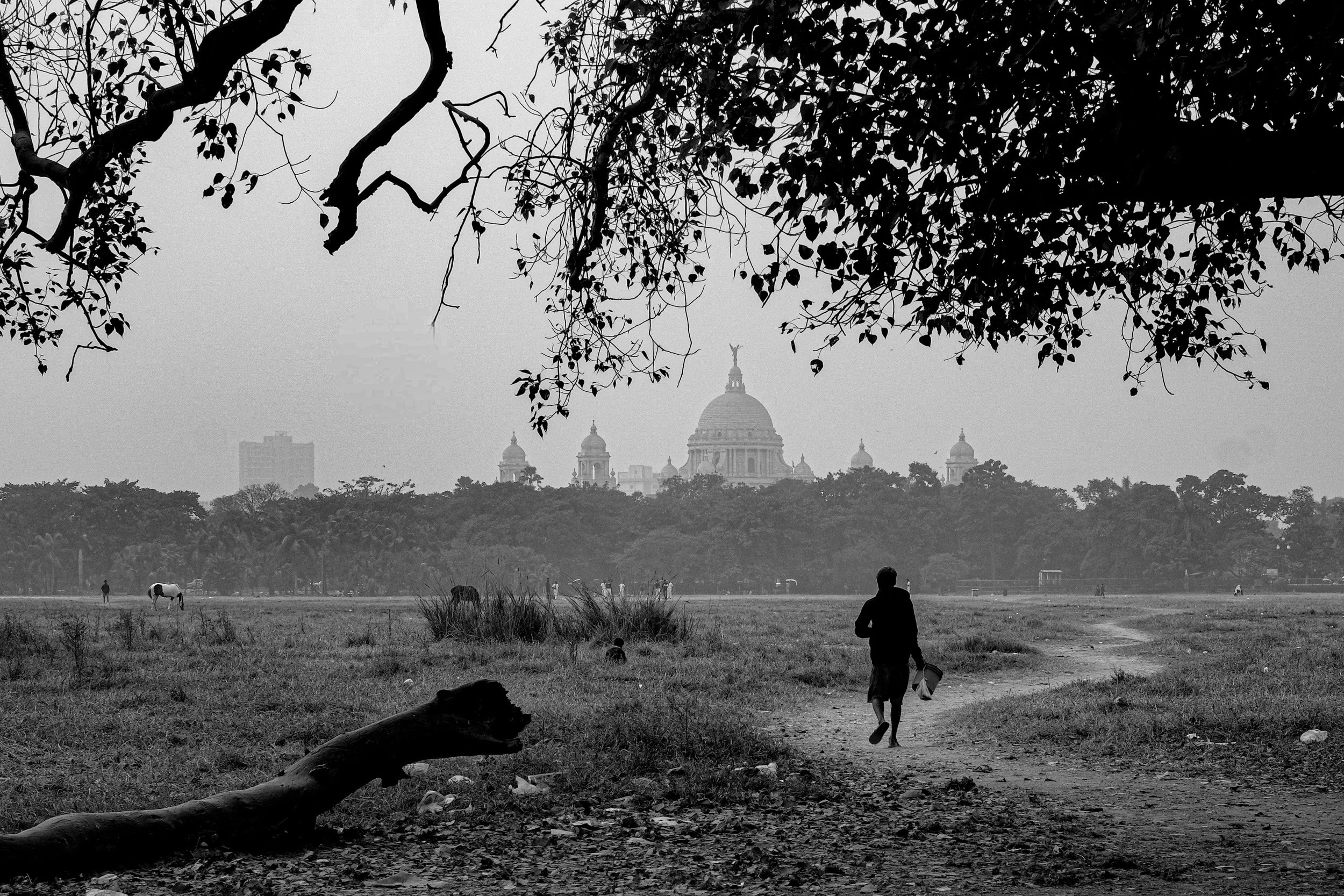 A black-and-white photo showing a park scene with a cityscape in the background. In the foreground, there is a person walking with a bag, and other people are tending to horses in the field. The skyline features a domed building and the city skyline 