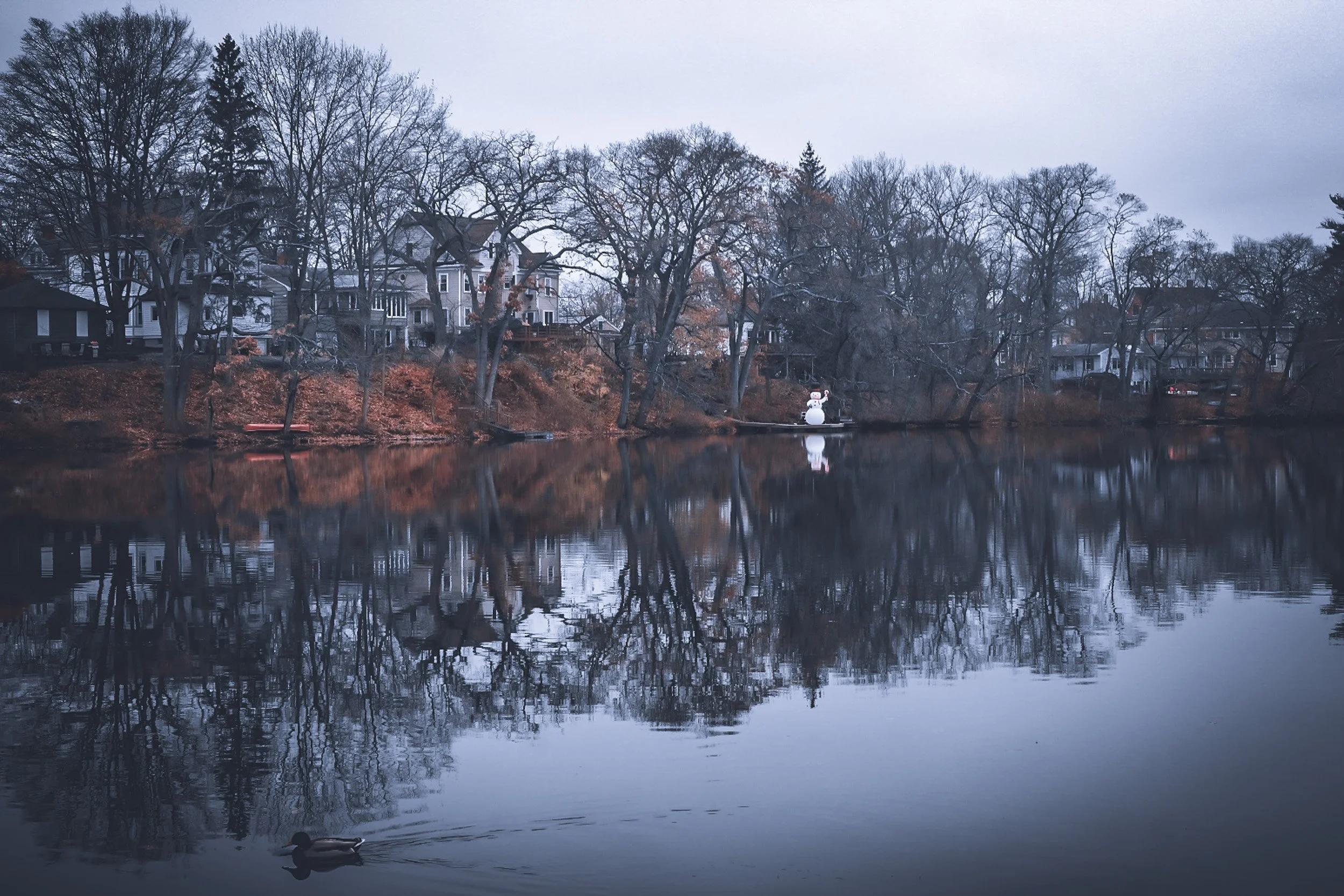 A peaceful lakeside scene during winter with leafless trees, houses on a hill, and a snowman on the lakeshore. A duck is swimming in the water, which reflects the trees and houses. The sky is overcast.