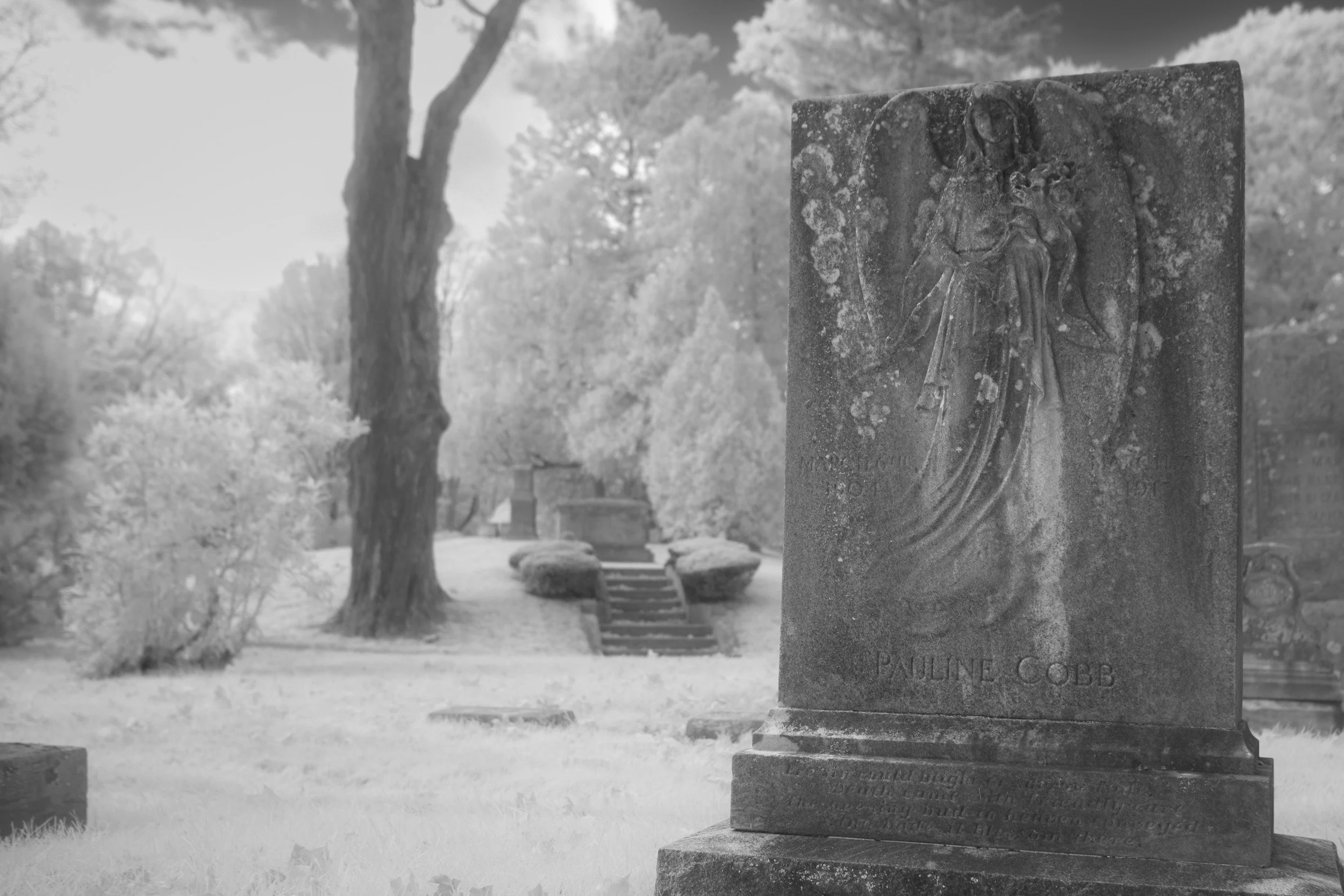 A cemetery scene in black and white with a tombstone in the foreground having a carved angel and the name Paulina Cobb. There are trees and other tombstones in the background.