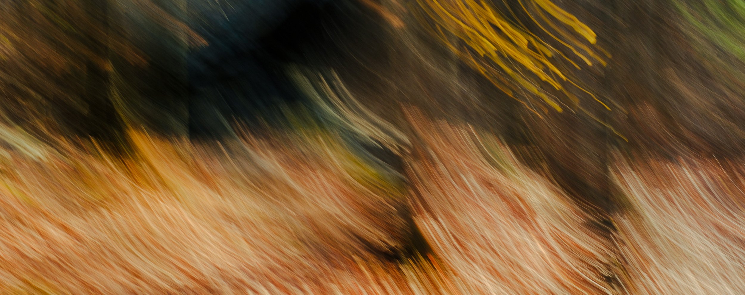 Abstract blurred image with streaks of orange, yellow, green, black, and brown colors