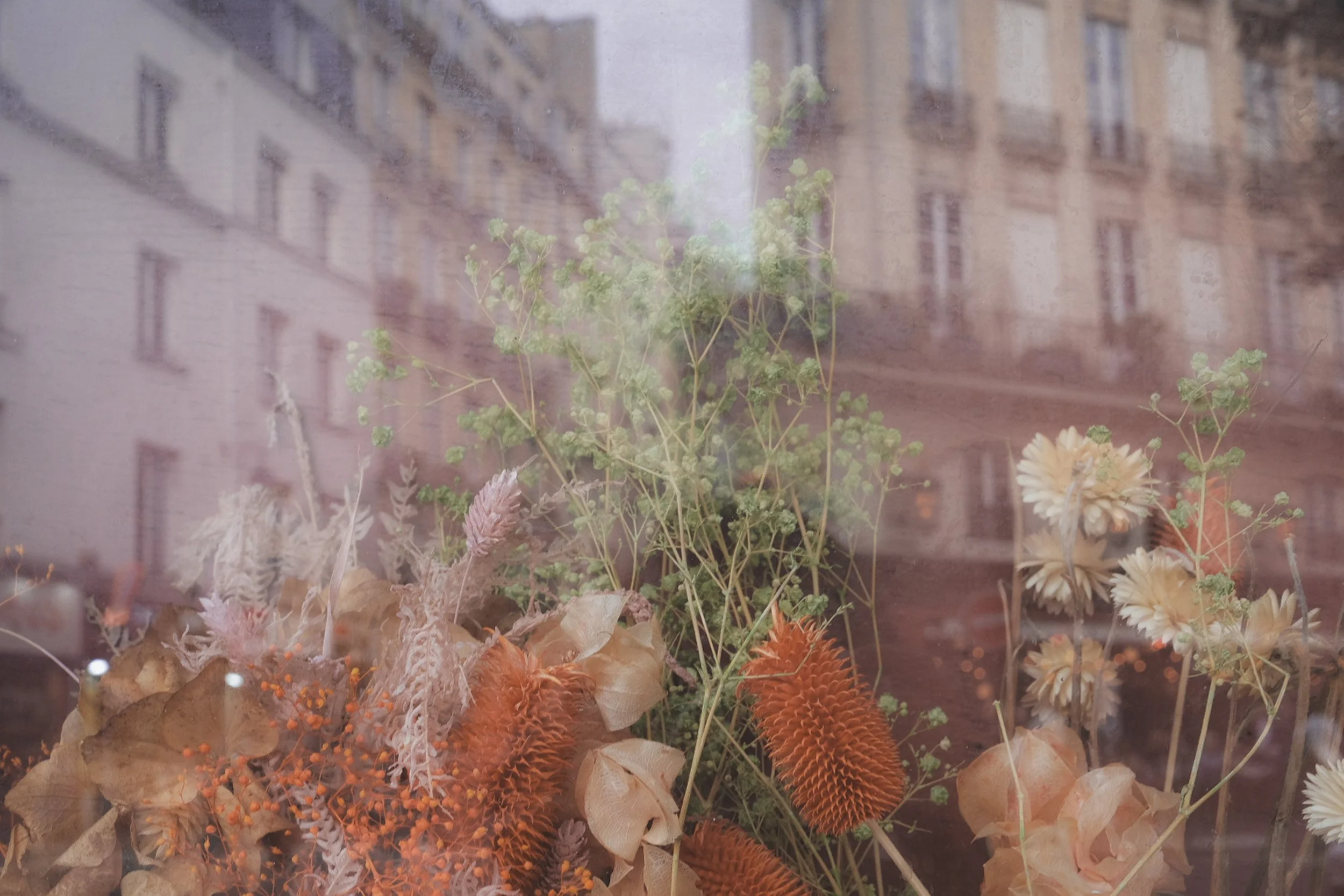 A window display with dried flowers and plants, including leaves, seed pods, and flowers arranged in a decorative manner.