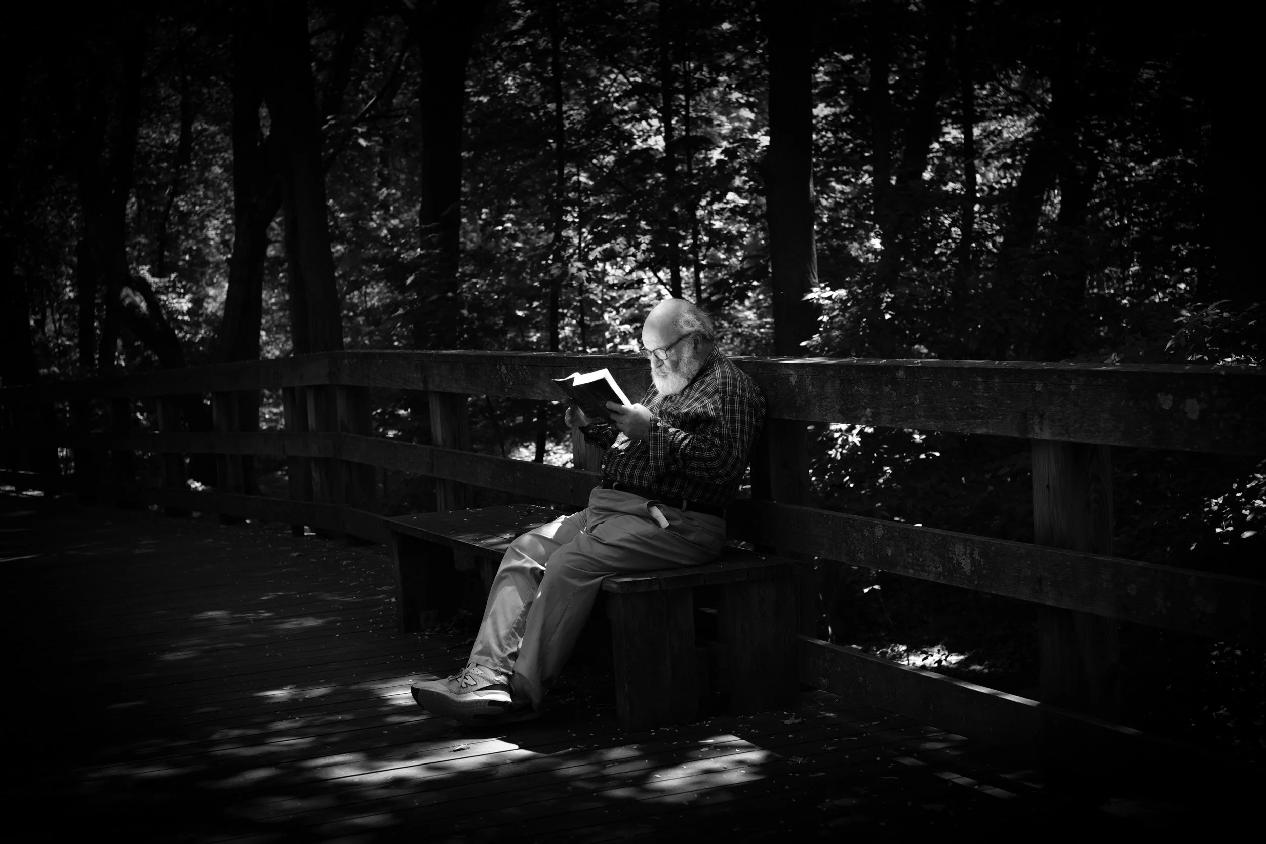 An elderly man with glasses and a beard sits on a wooden bench in a forest, reading a book. Light filters through the trees, creating a dappled pattern on the ground and the bench.