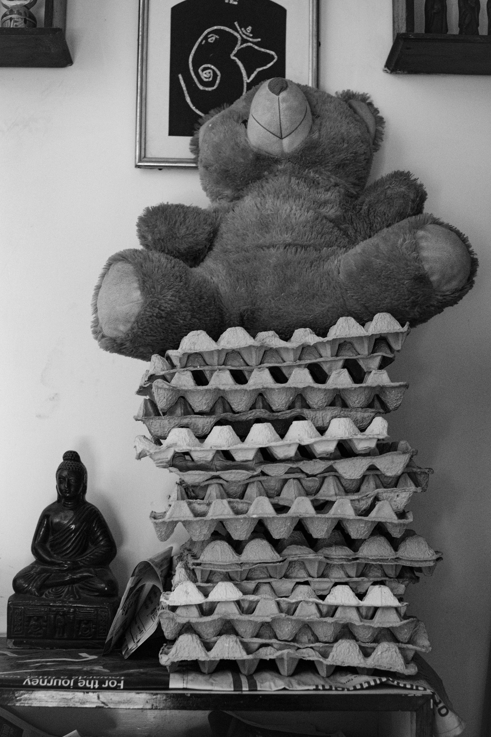 Stack of egg cartons on a table with a Buddha statue and a magazine underneath, and framed artwork of a seahorse and duck on the wall in the background.