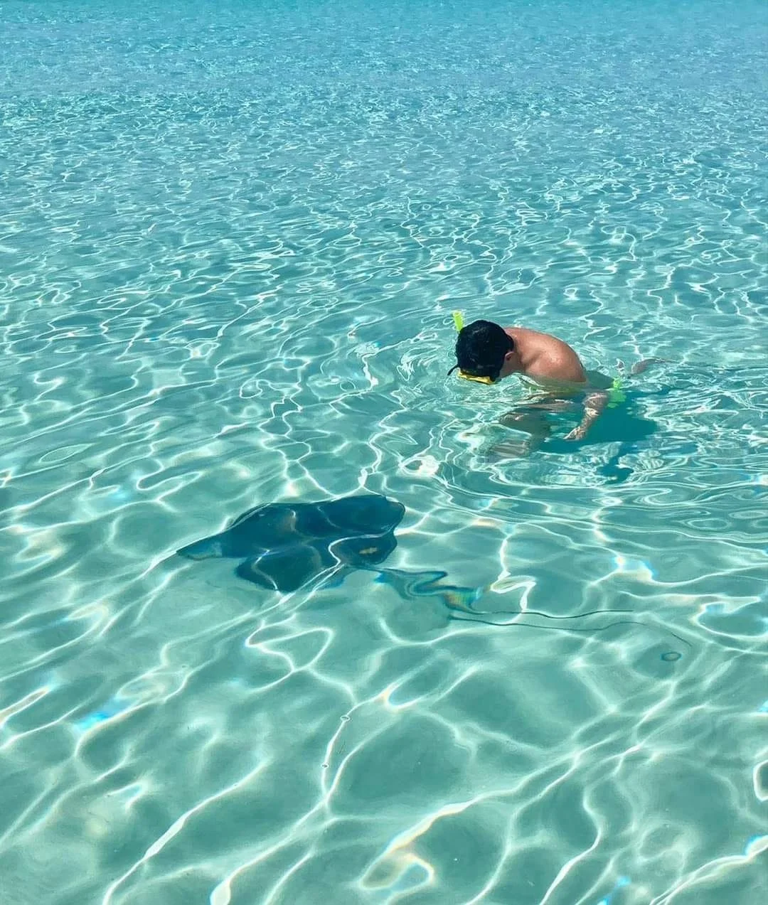 A man swimming in clear, turquoise water with a stingray swimming nearby. Cozumel snorkeling, Cozumel, Snorkel, Diving, Cancun