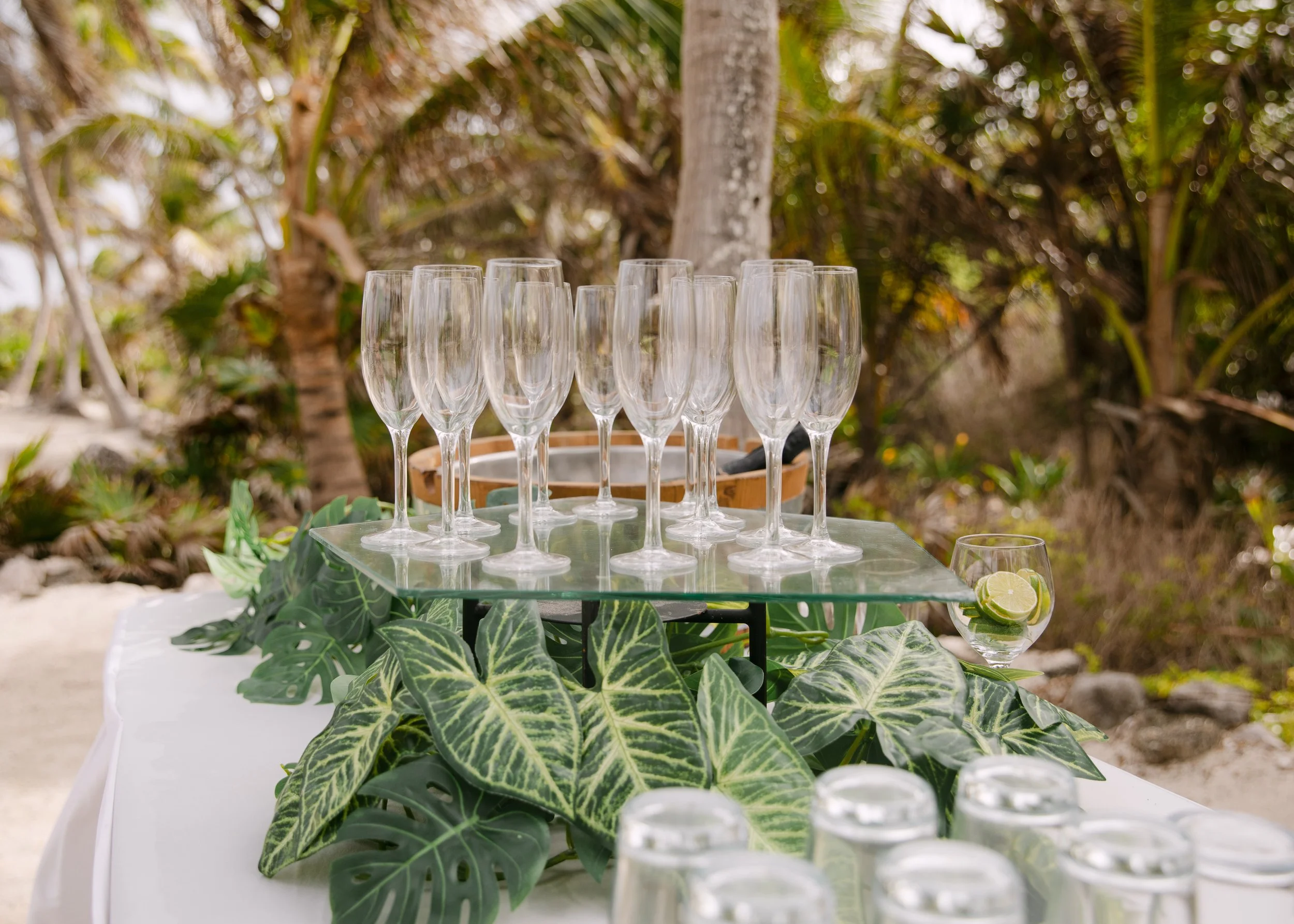 A row of empty champagne flutes on a glass table outdoors, decorated with green leafy plants and a lime slice, with a background of trees and vegetation.
