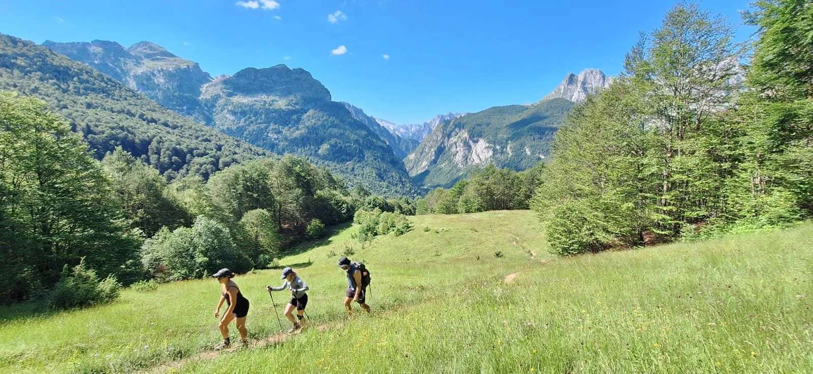 Four hikers walking on a trail through a grassy green valley surrounded by trees and mountains under a blue sky.